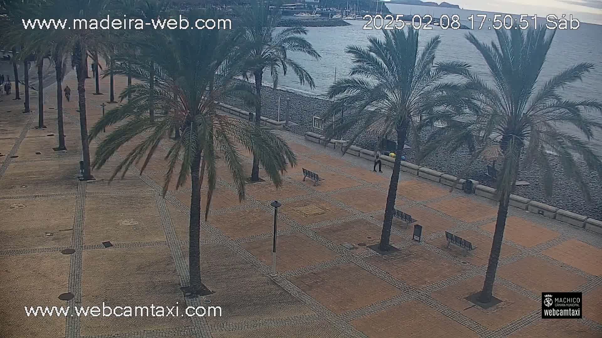 A paved plaza with rows of palm trees overlooks a pebble beach and calm ocean under a cloudy sky.