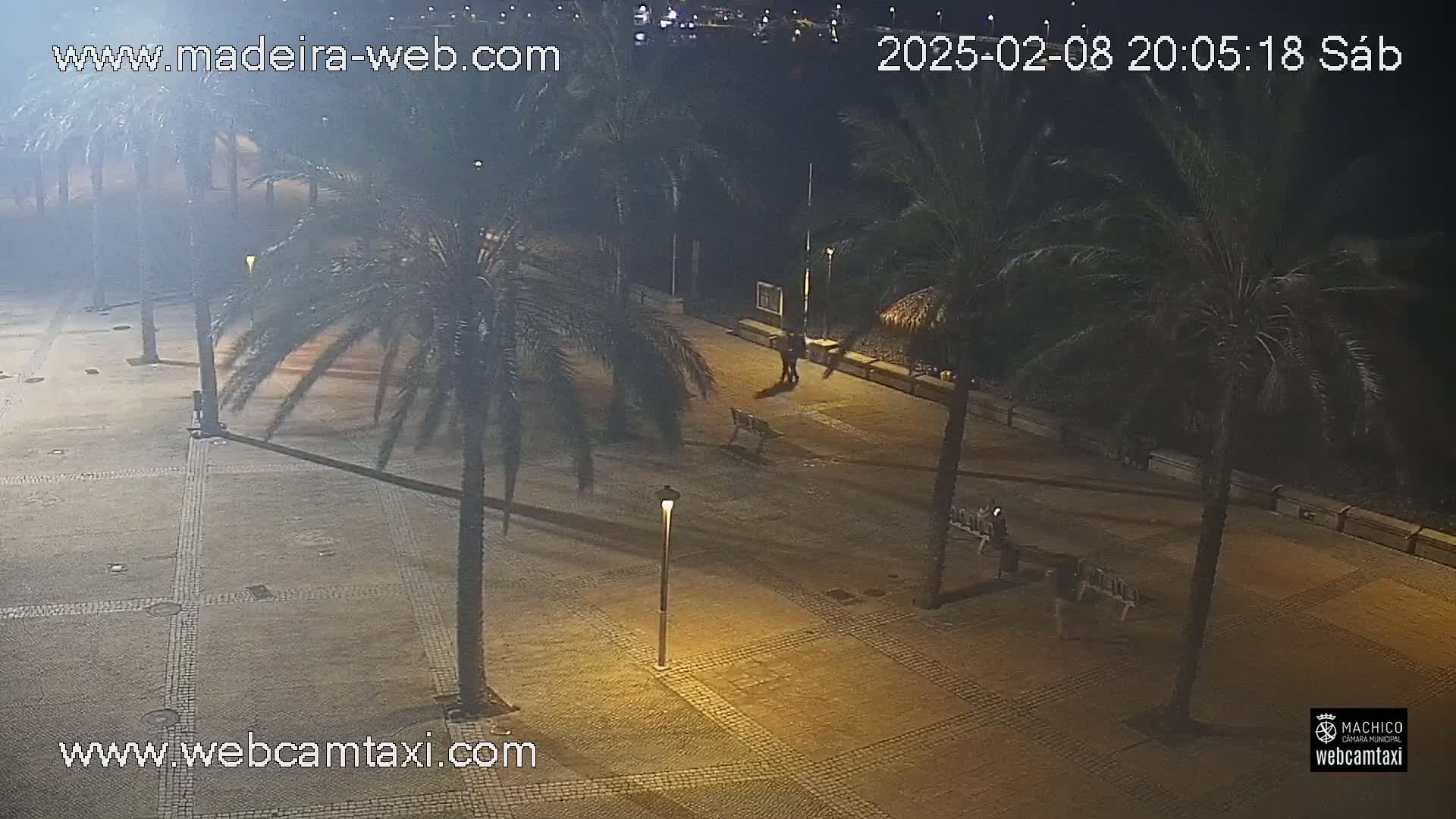 A nighttime view of a paved plaza with palm trees, benches, and a few people walking under hazy conditions.