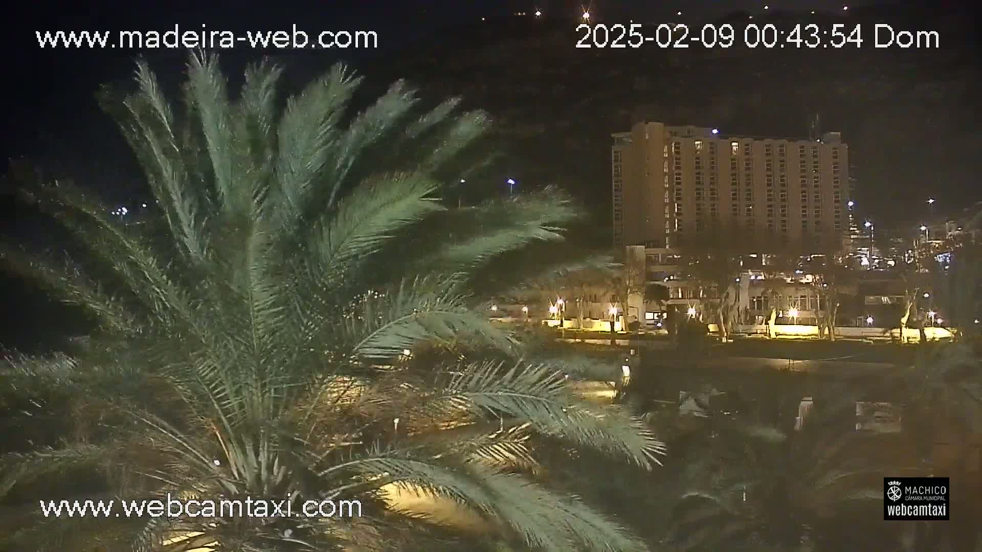 A nighttime view shows a tall, multi-story building illuminated, partially obscured by palm fronds in the foreground.