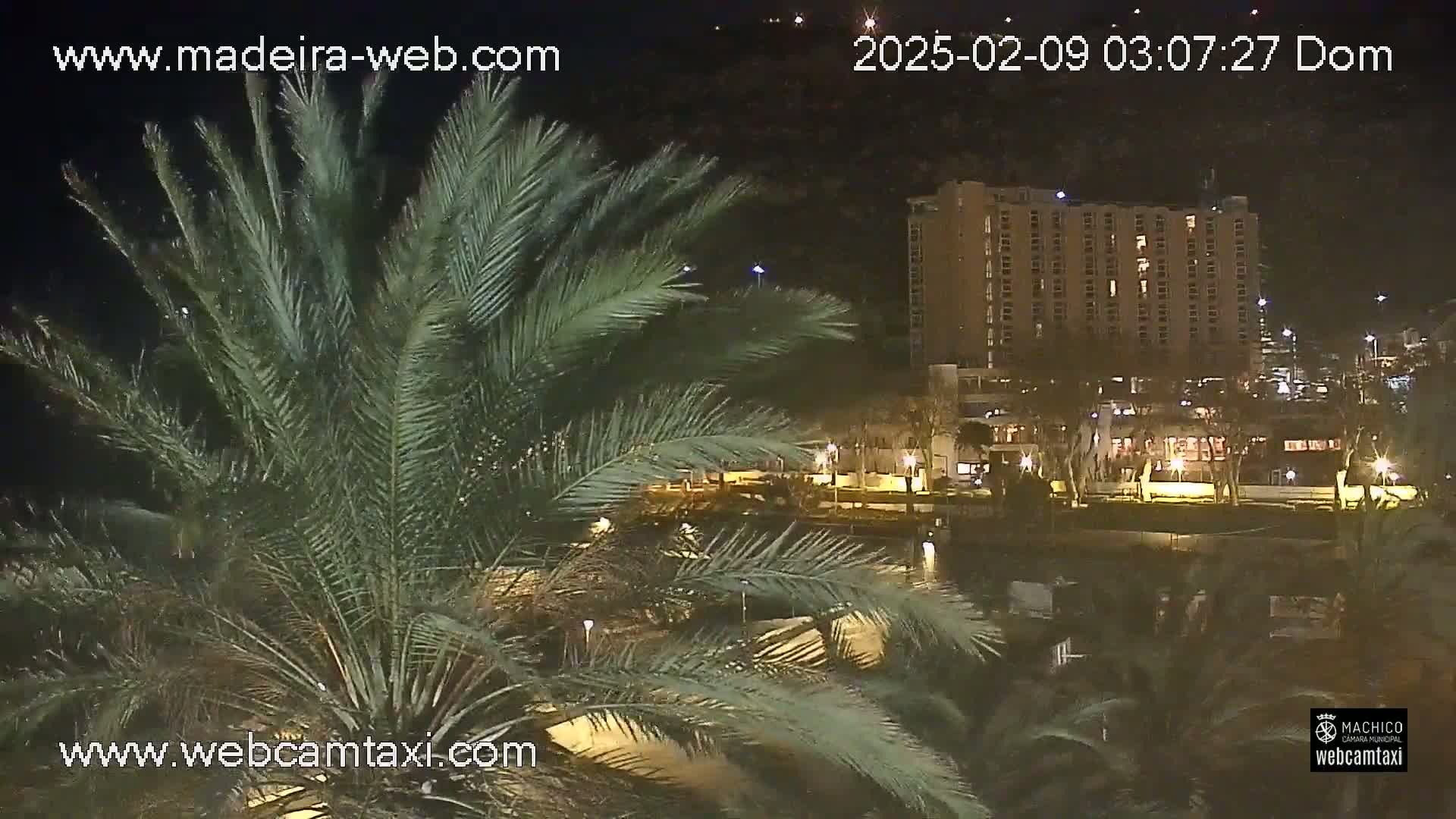 A nighttime view shows palm trees in the foreground, with a multi-story hotel and other buildings illuminated in the background across a body of water.
