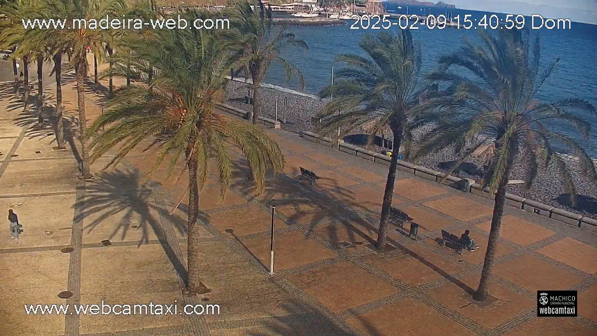 A paved plaza with palm trees overlooks a pebble beach and calm ocean under a sunny sky.