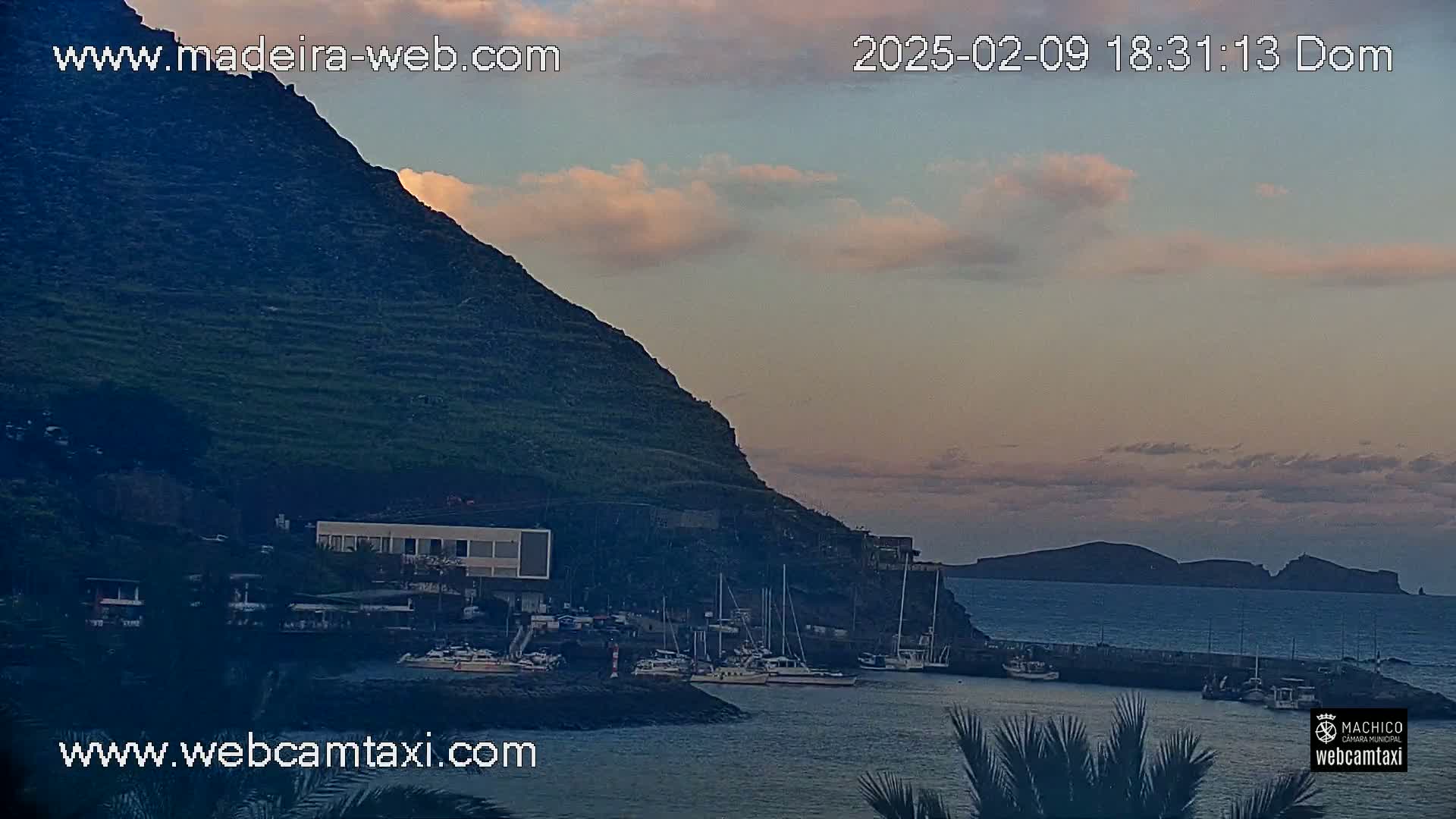 A calm harbor with boats is nestled beneath a dark green hillside against a pale pink and mauve twilight sky.