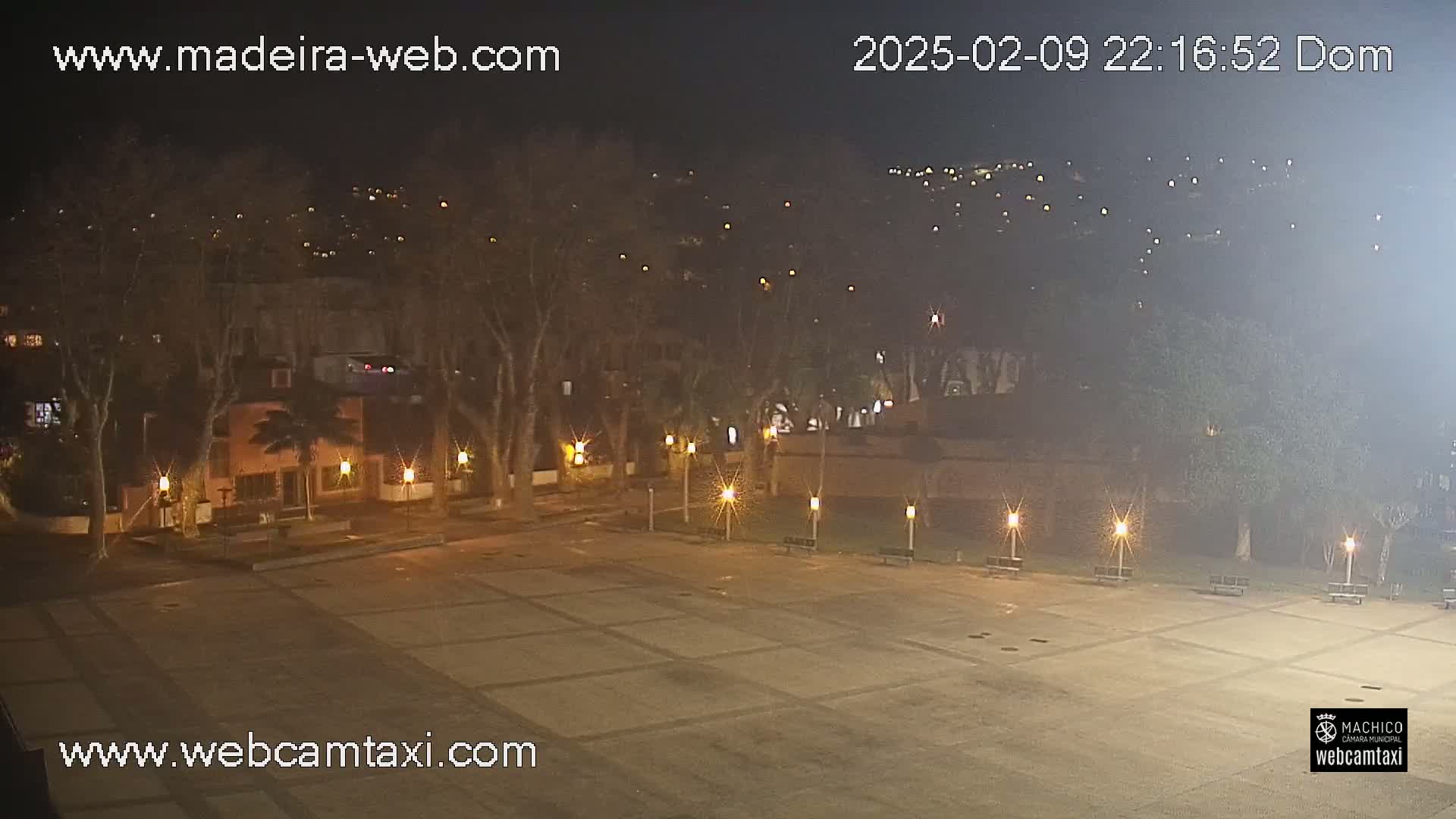 A nighttime view of a plaza with trees and lights, situated in front of buildings that extend up a hillside.