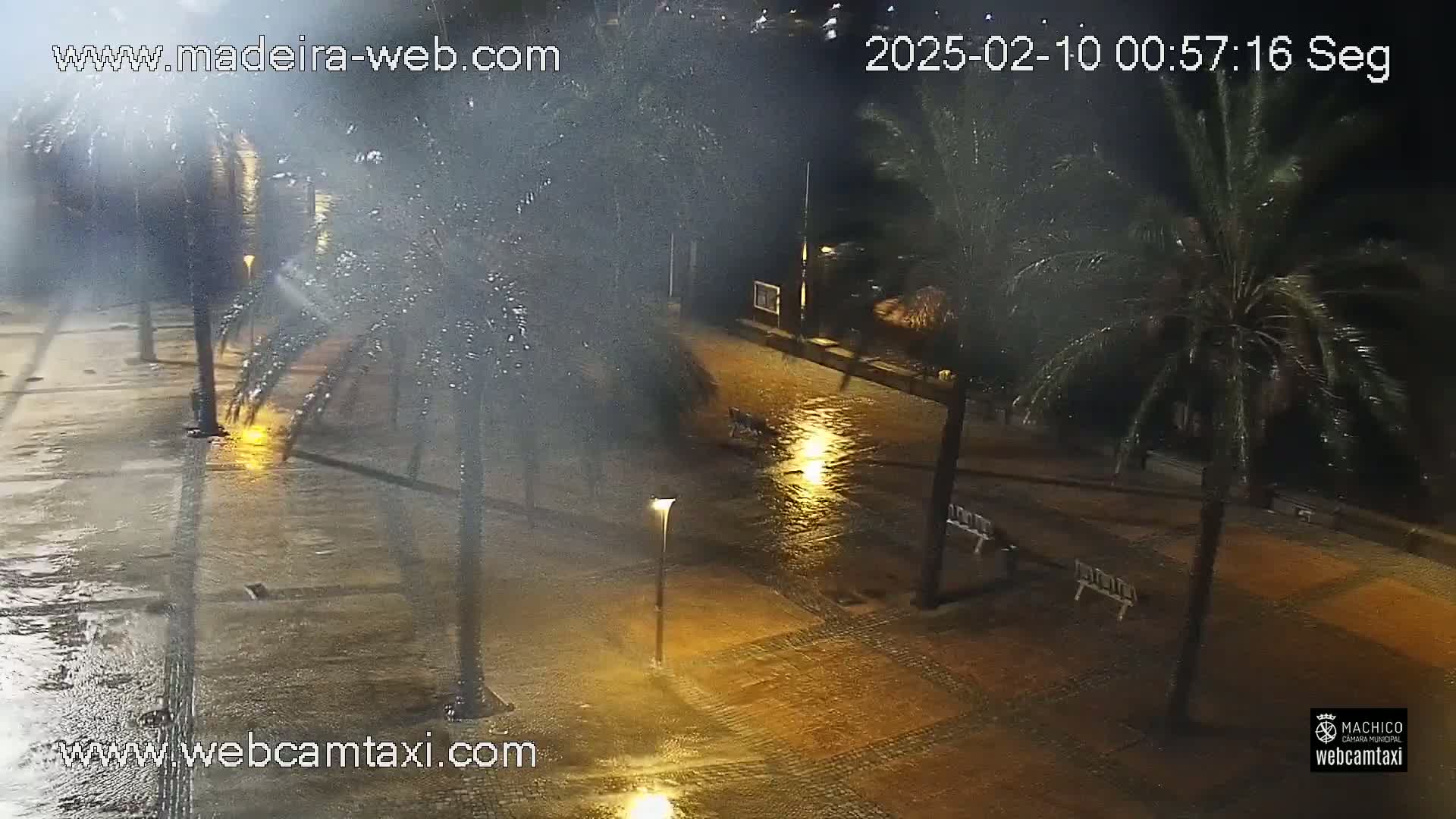 A rain-soaked plaza at night is illuminated by streetlights, with palm trees lining the wet pavement.