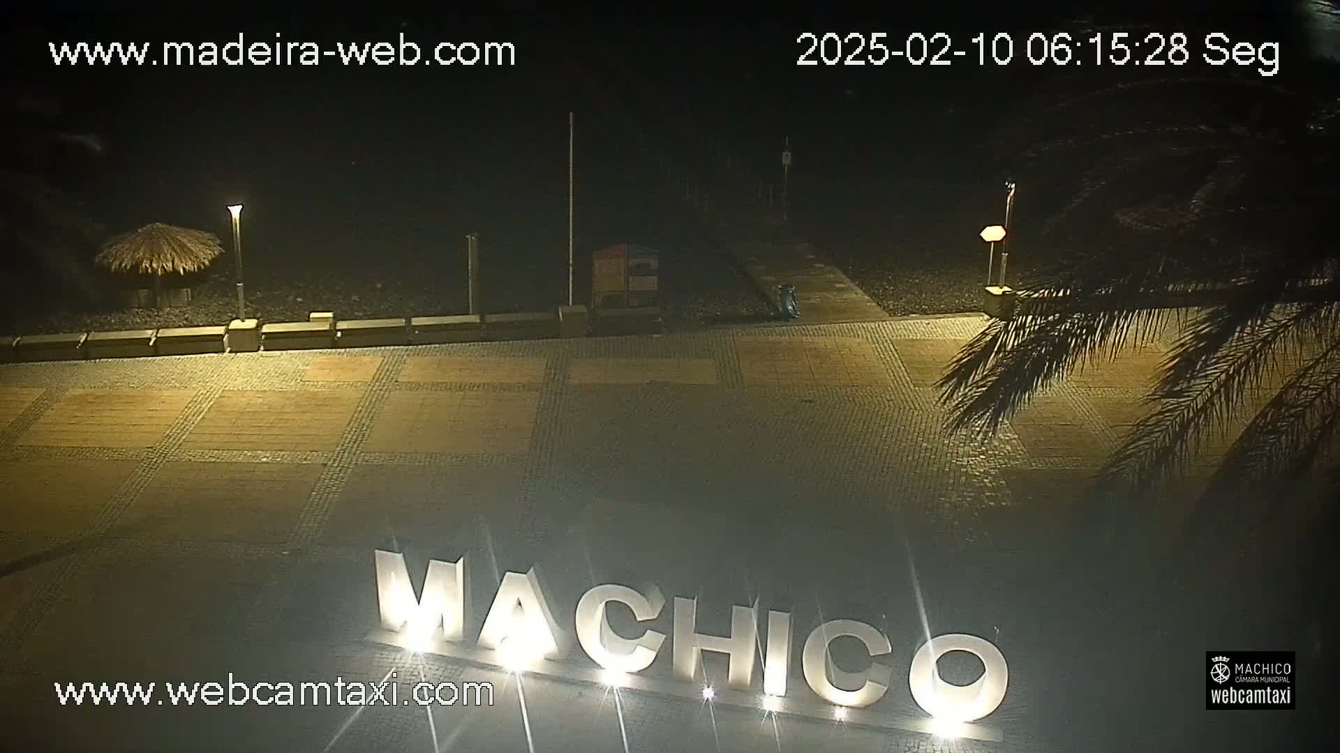 At night, a paved area displays large illuminated letters spelling out "Machico" under the shadows of palm trees and lit lampposts.
