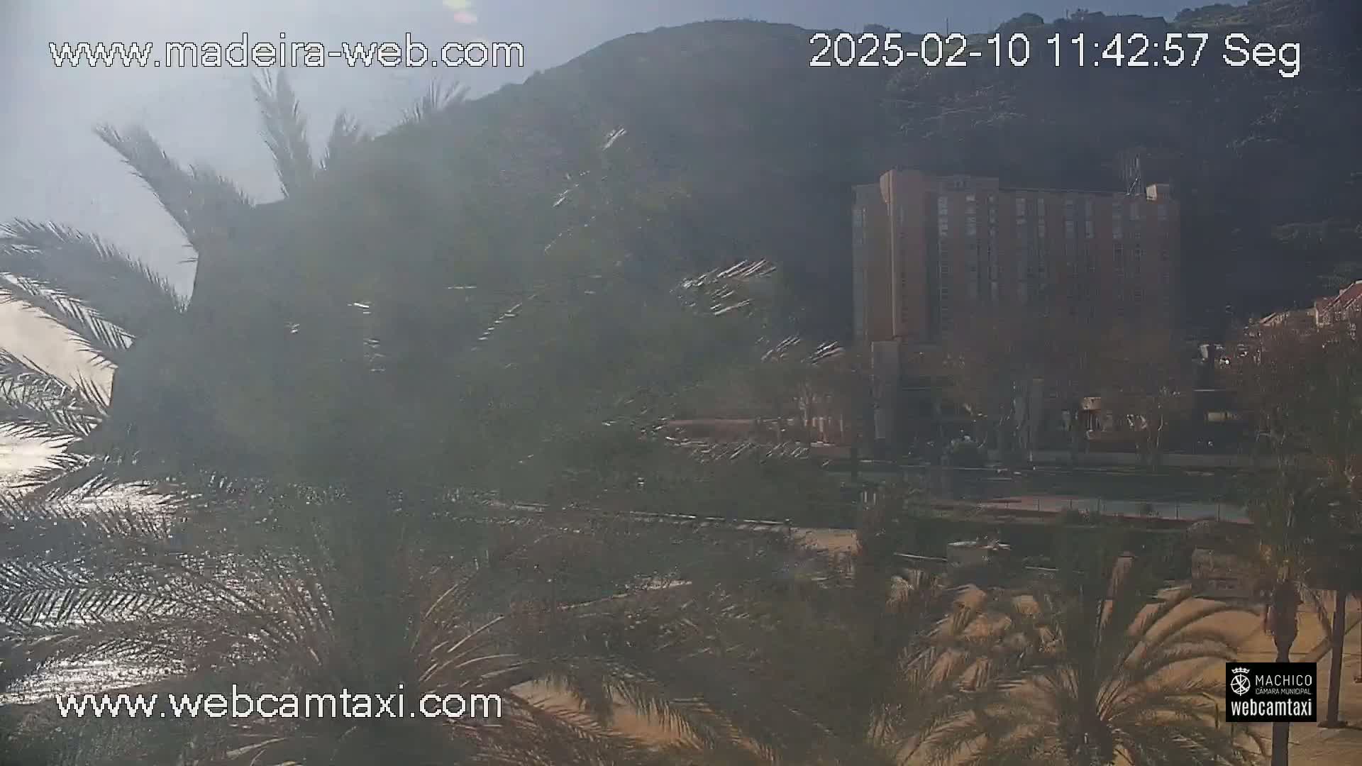 A hazy, sunny day shows palm trees in the foreground, a multi-story building in the midground, and a hill in the background near a body of water.