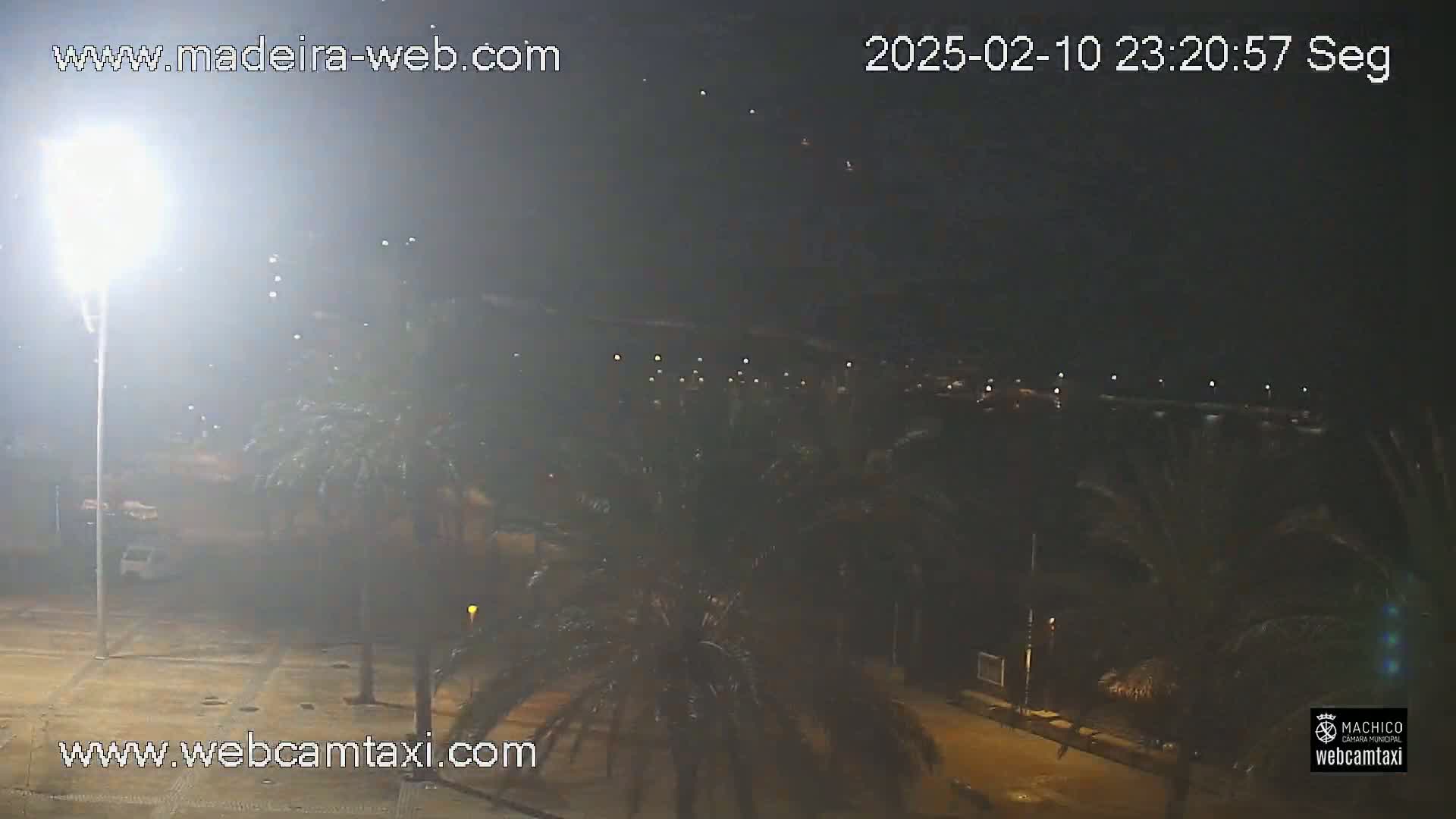 A nighttime view of palm trees lining a street next to a body of water, under hazy conditions.