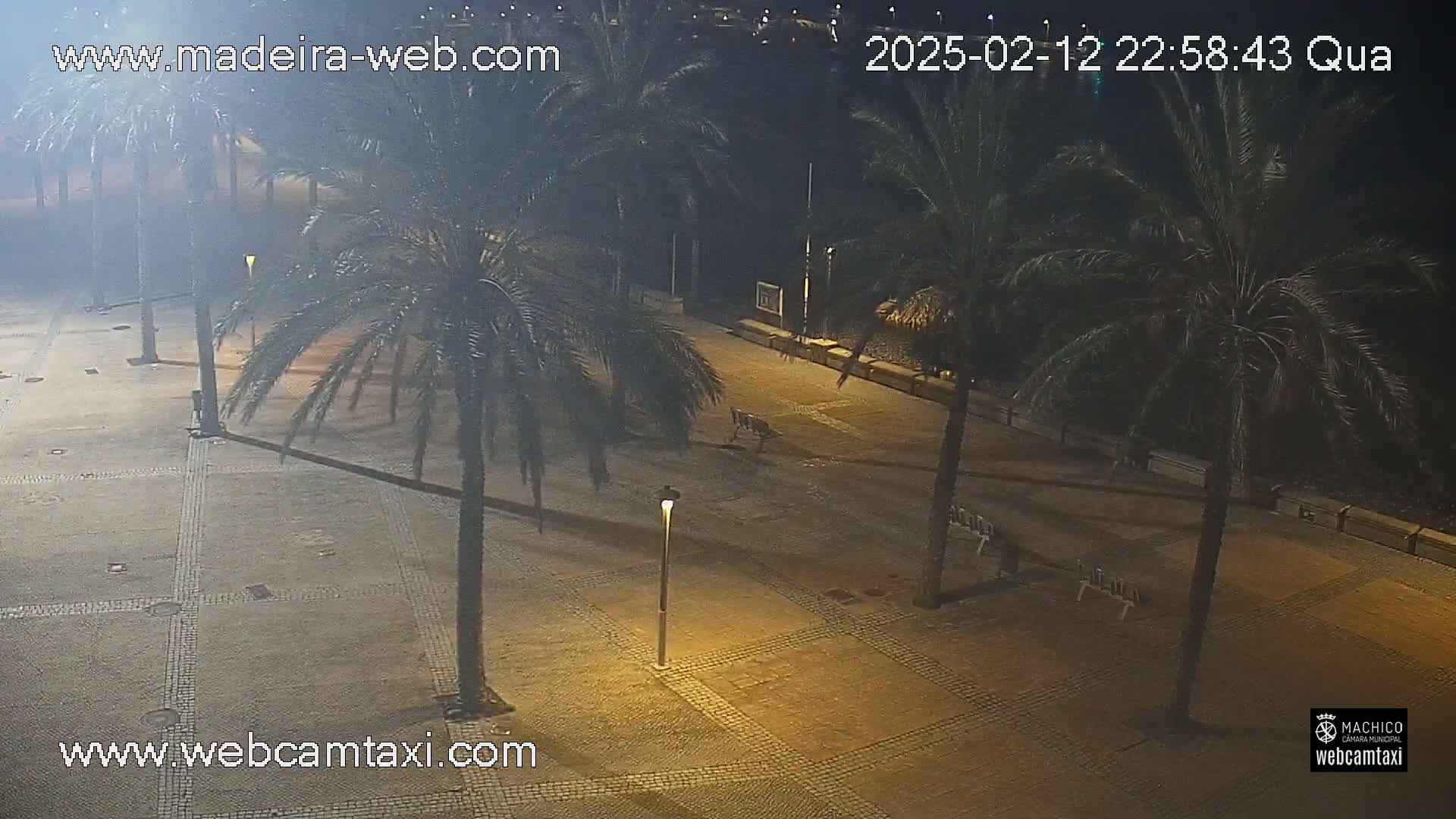 A nighttime view of a paved plaza lined with palm trees under hazy conditions.