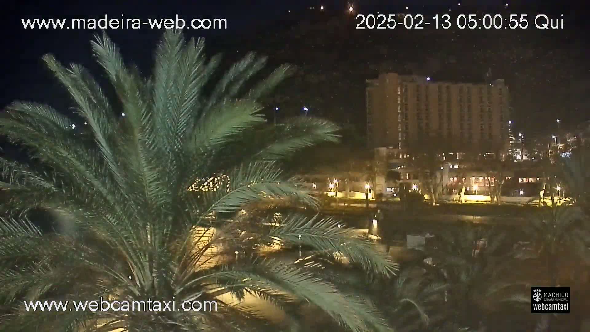 A nighttime view from behind palm trees shows a brightly lit hotel and other buildings across a body of water.