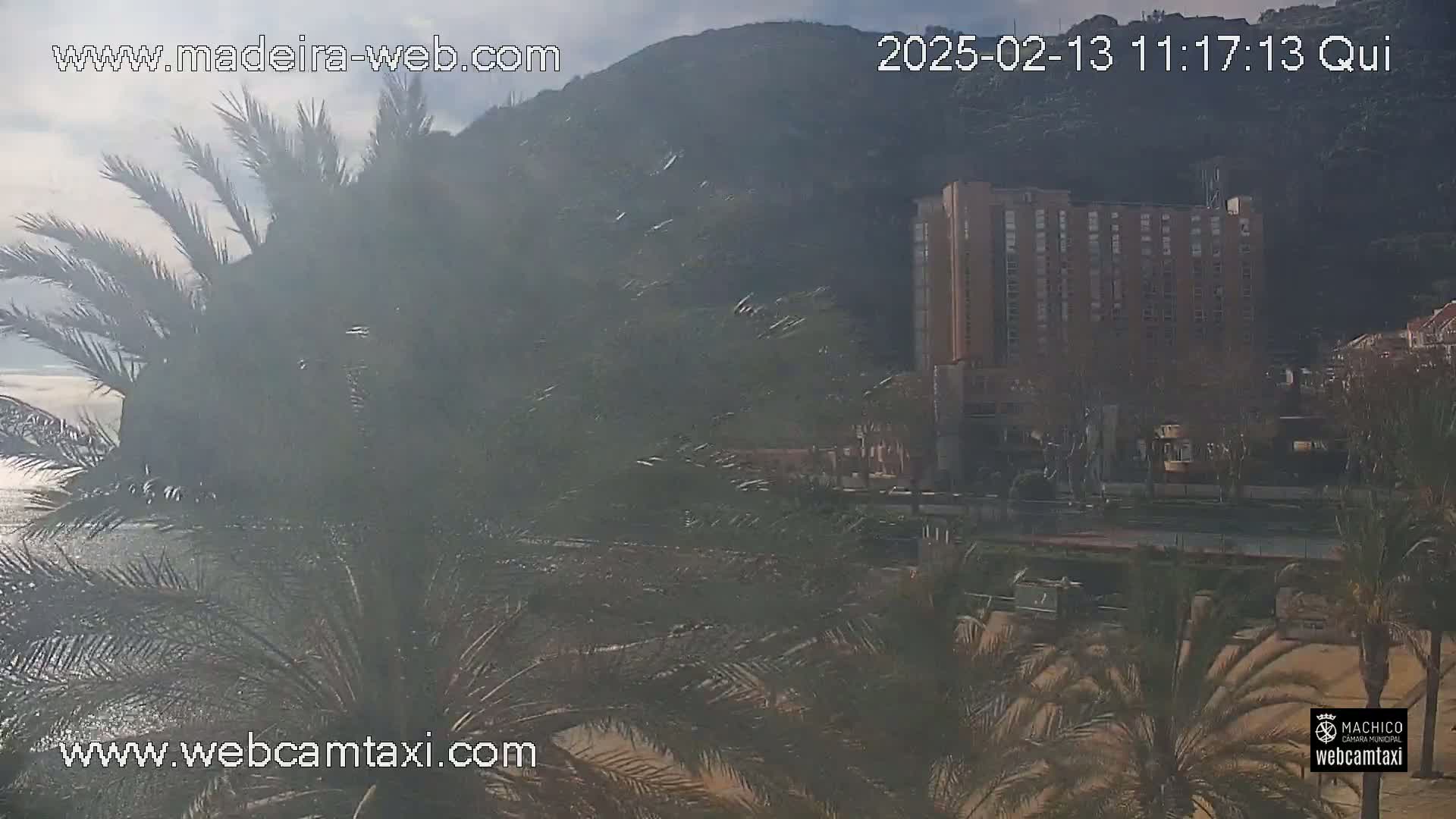 A hazy, sunny day shows a coastal scene with palm trees in the foreground, a large building in the mid-ground, and a hill in the background.
