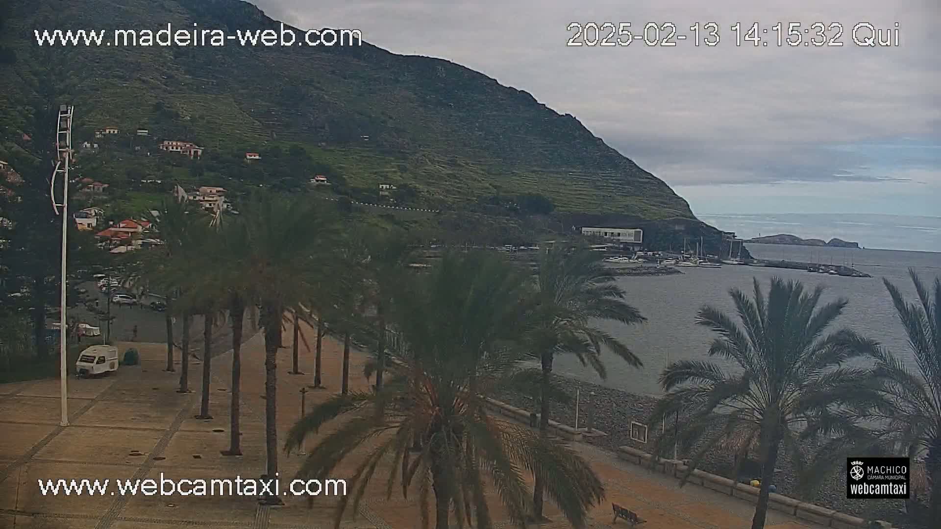 A coastal town nestled beneath a hill, with palm trees lining a paved walkway beside a calm, gray-water harbor under an overcast sky.
