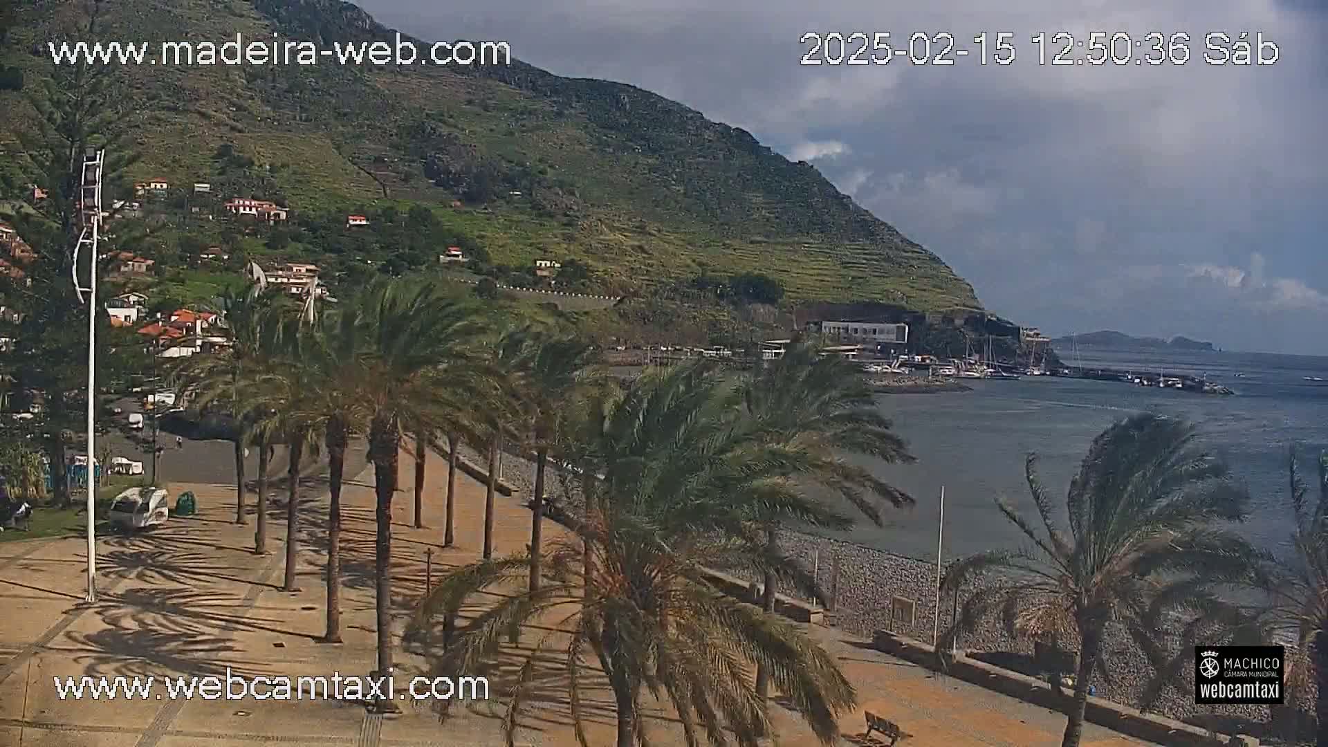 A coastal town with palm trees lining a promenade overlooks a calm bay under partly cloudy skies.