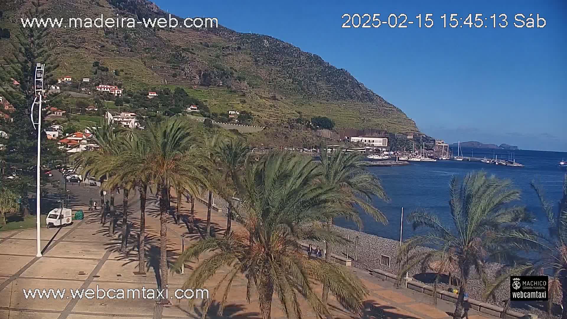 A sunny waterfront scene shows palm trees lining a paved walkway next to a calm body of water with boats and a hillside town in the background.