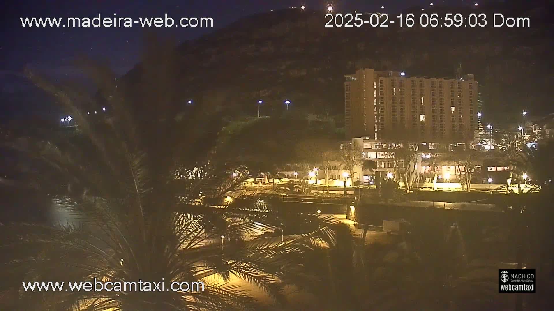 A nighttime view of a city waterfront, showing a multi-story building, palm trees, and streetlights, under a clear, dark sky.