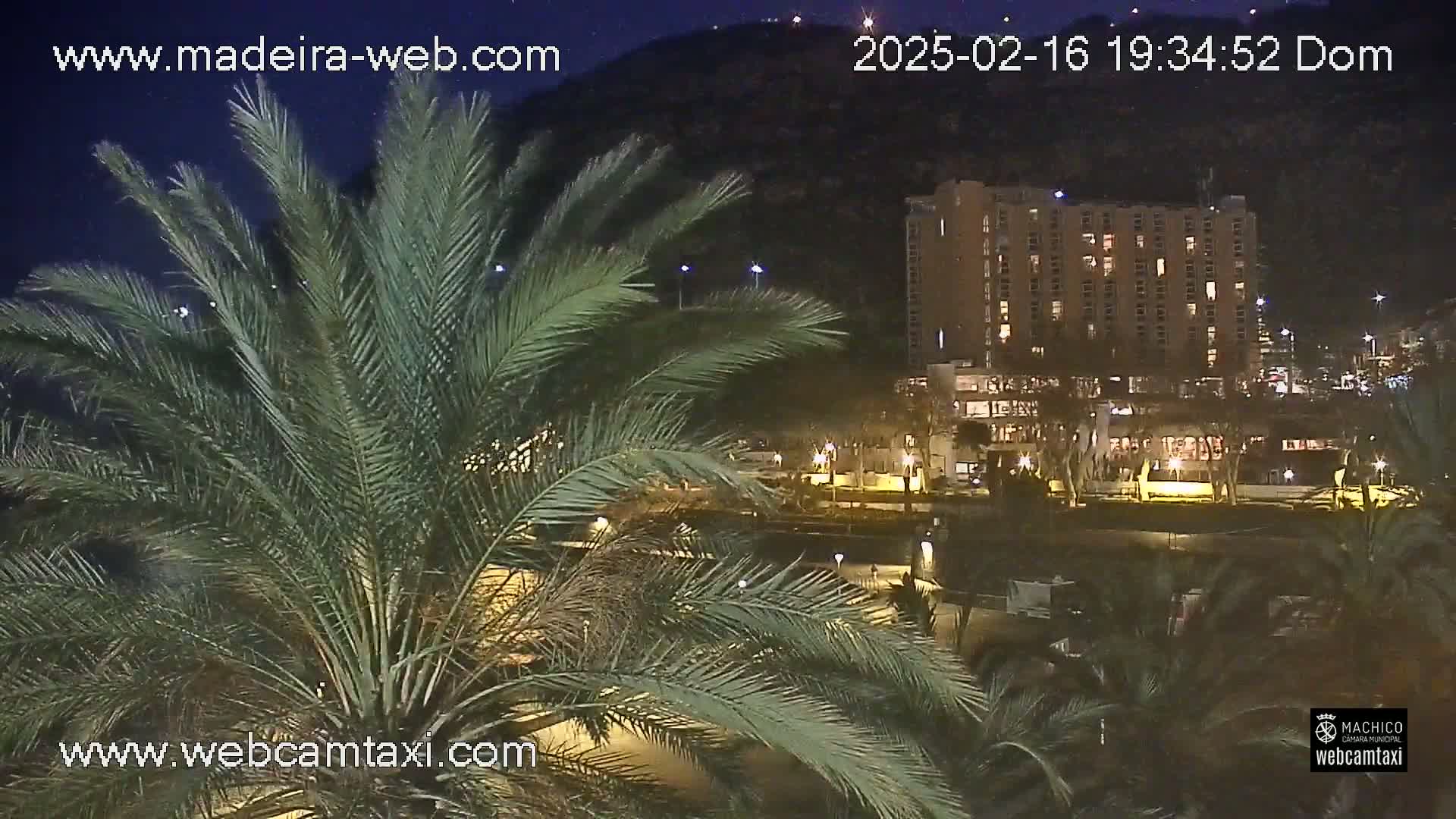 A nighttime view of a palm tree-lined area, overlooking a multi-story building illuminated against a dark hill.