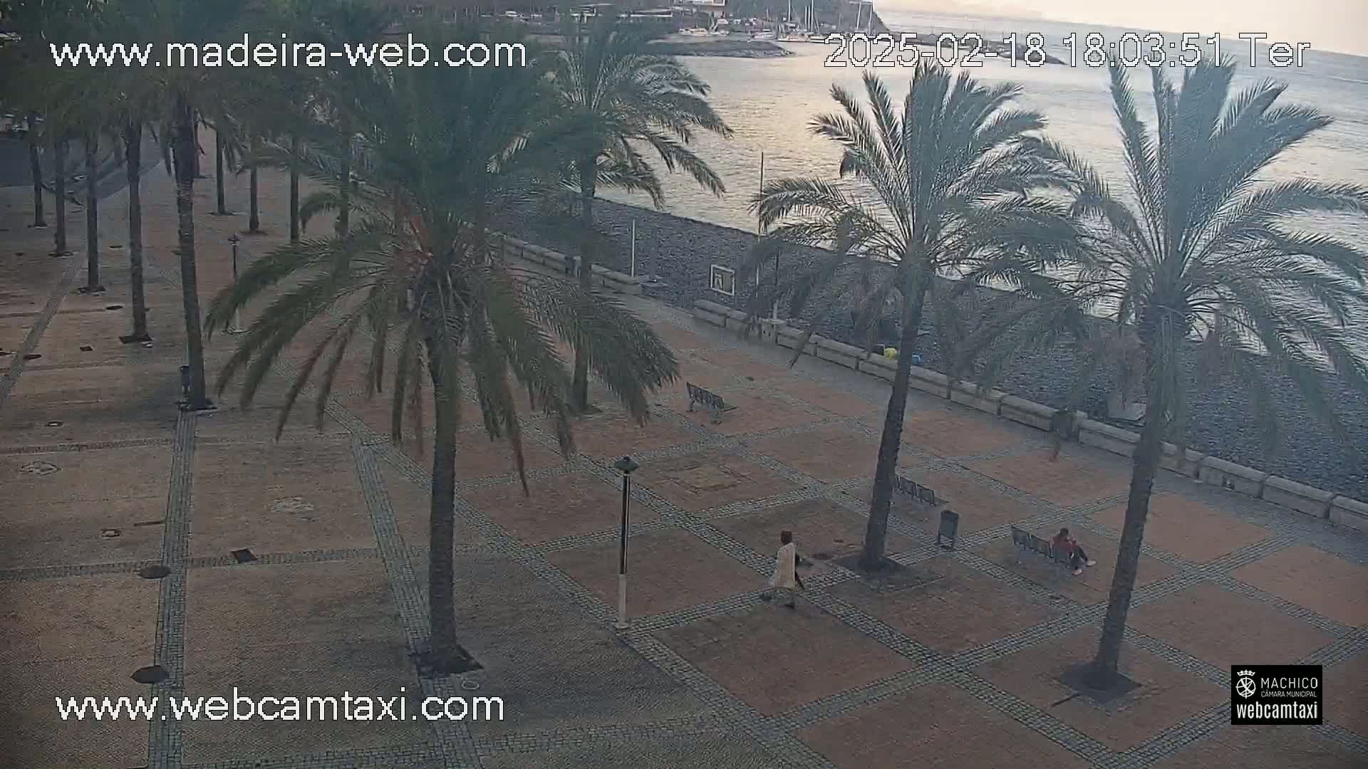 A paved plaza with palm trees lines a waterfront, with calm water visible in the background under a partly cloudy sky.