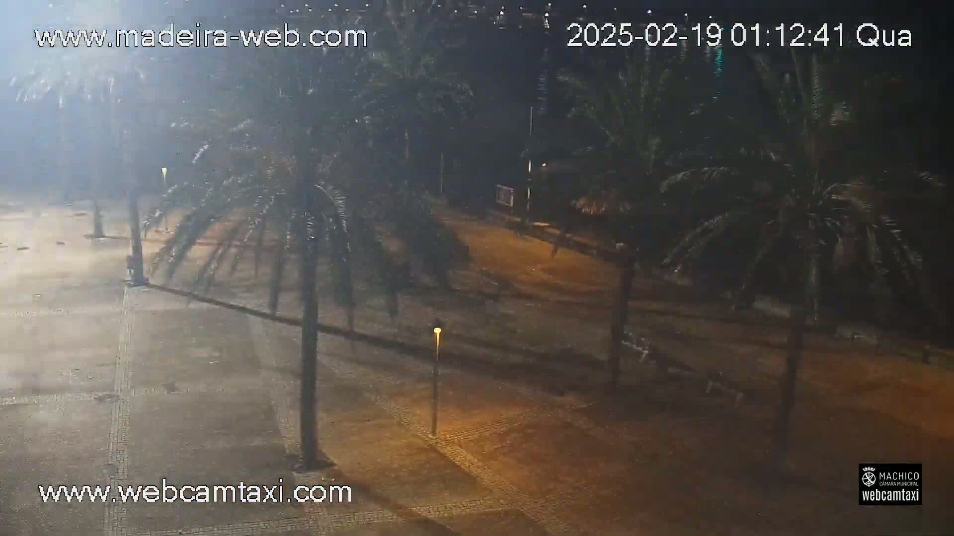 A nighttime, outdoor scene shows a paved area with palm trees, streetlights, and some faint firework-like effects in the hazy air.