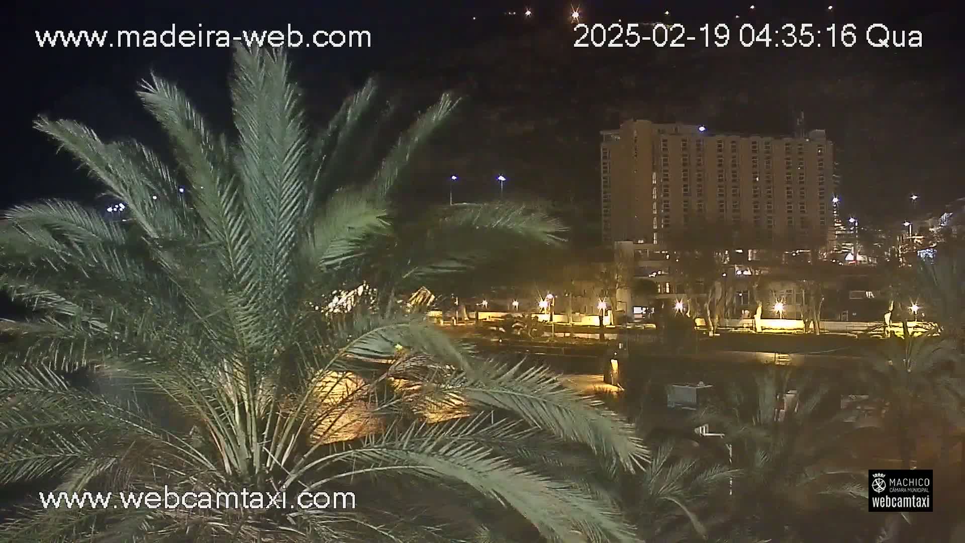A nighttime view of a palm tree in the foreground partially obscuring a brightly lit, multi-story building and waterfront area.