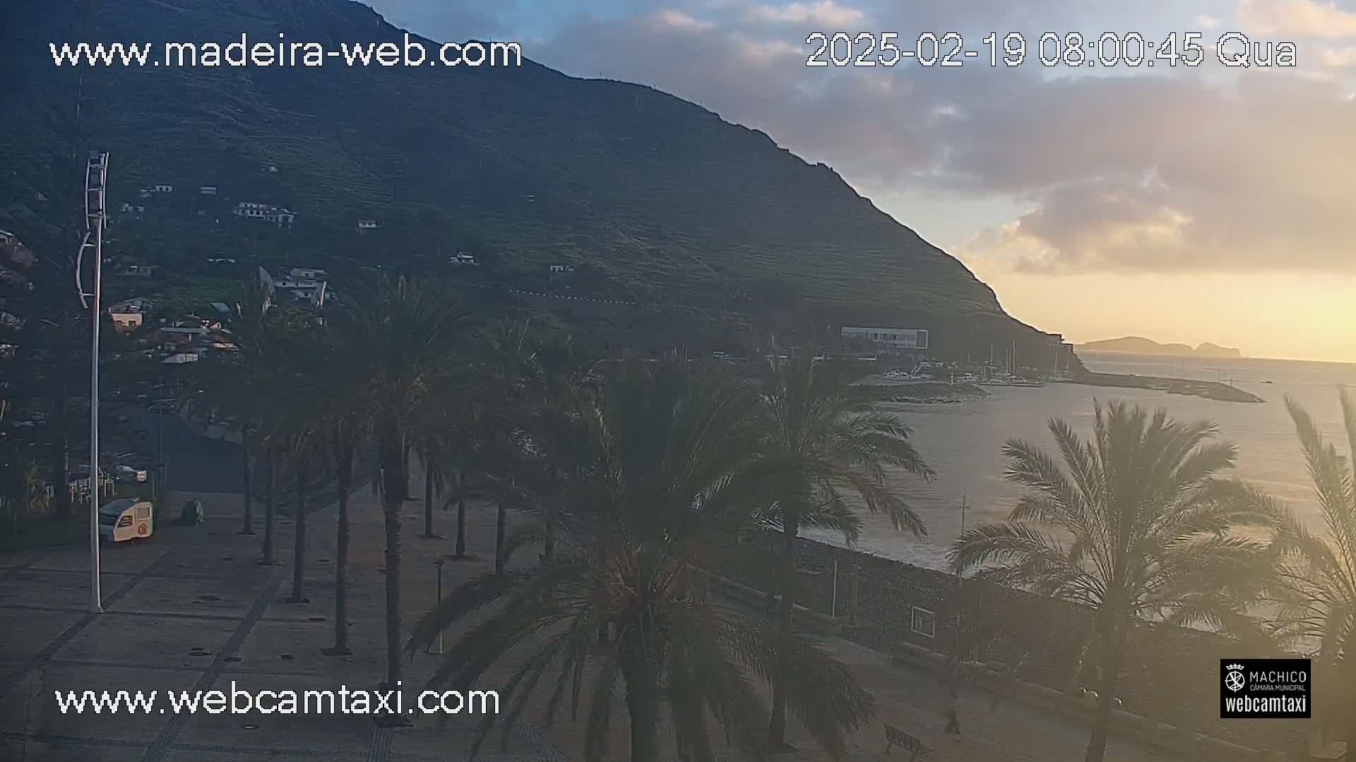 A coastal town at sunrise, nestled beneath a dark mountain, features palm trees lining a paved area near a calm, slightly wavy ocean.