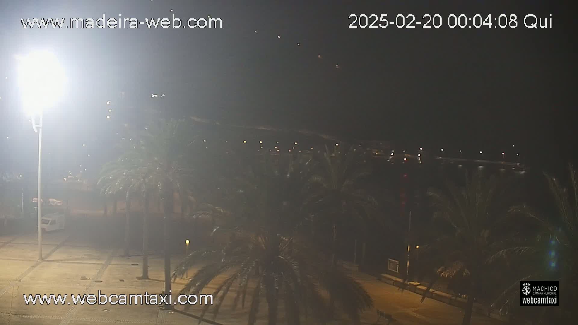 A hazy nighttime view shows a palm tree-lined area with lights illuminating a paved surface and a body of water in the distance.