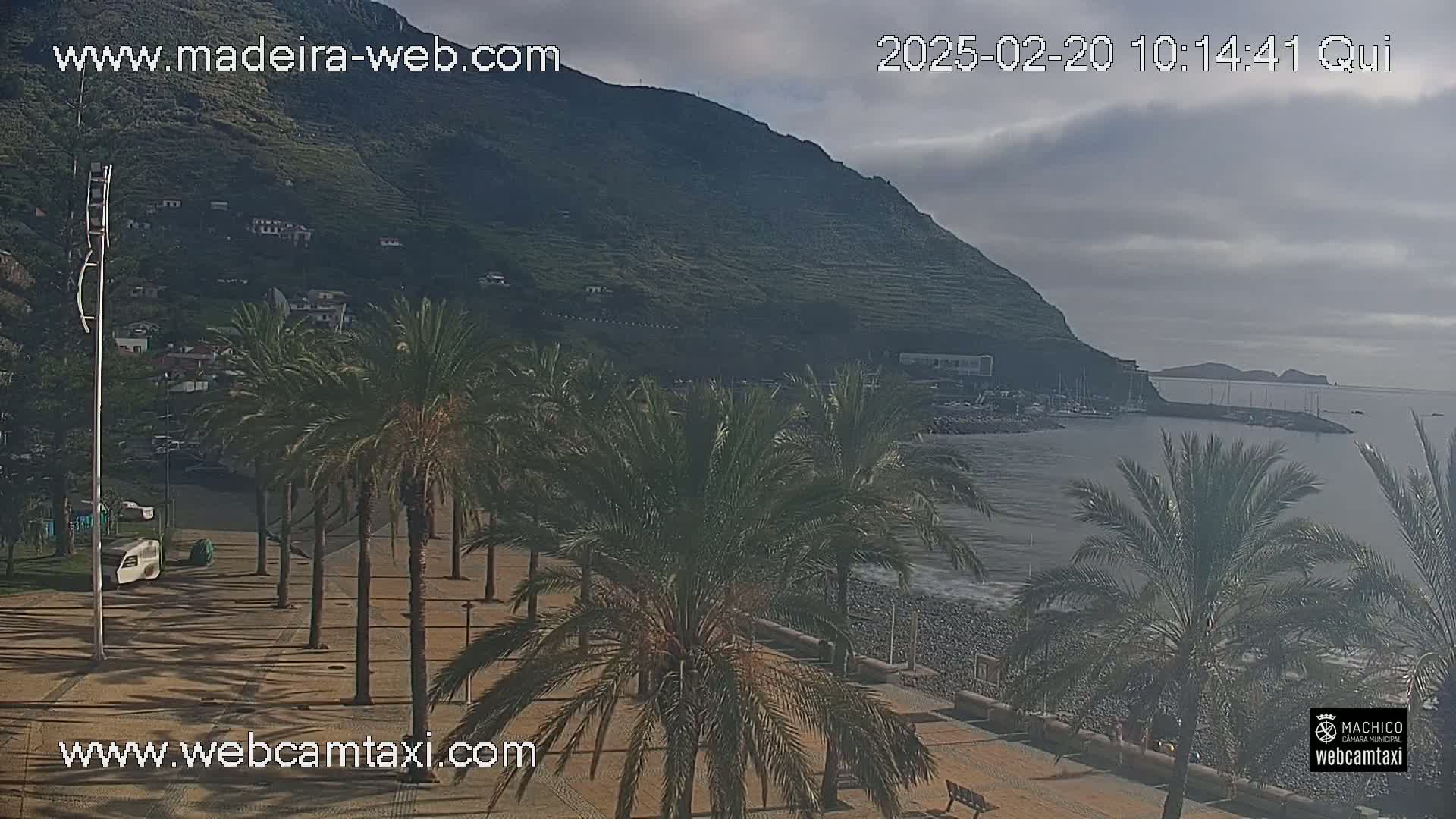 A coastal scene shows a calm ocean, a pebble beach lined with palm trees, a hillside village, and a mountainous background under a cloudy sky.