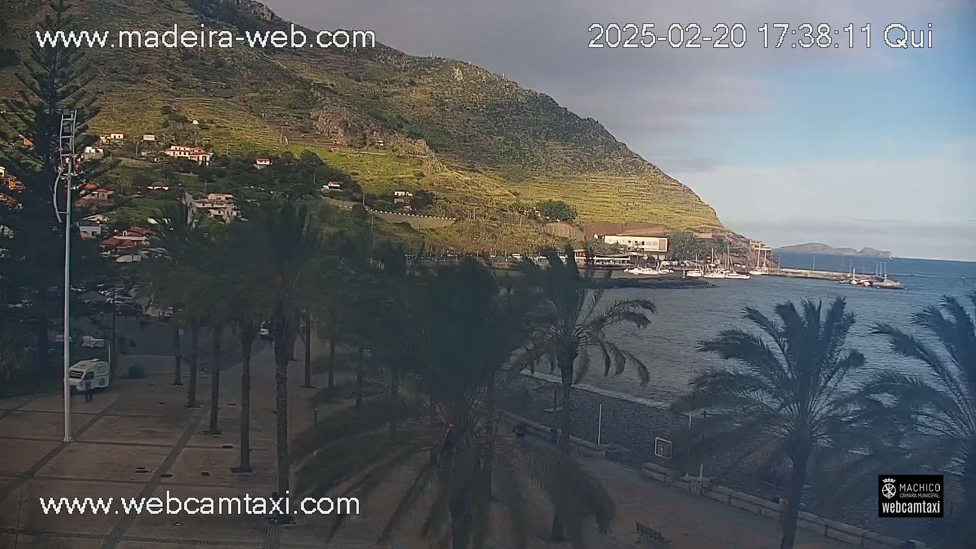 A coastal town nestled against a hillside, with palm trees lining a paved area beside a calm ocean harbor, under a mostly cloudy sky.