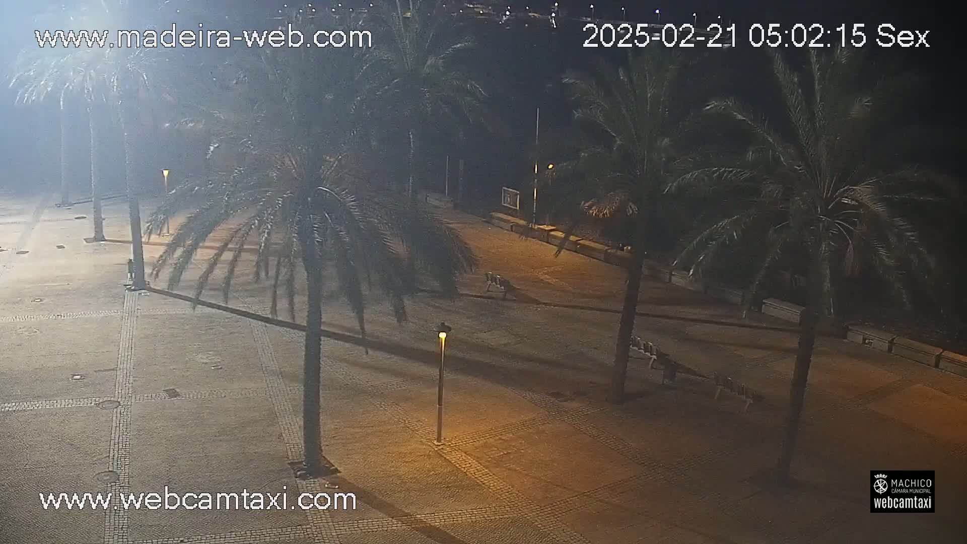 A paved plaza at night is illuminated by streetlights, lined with palm trees and sparsely occupied benches.