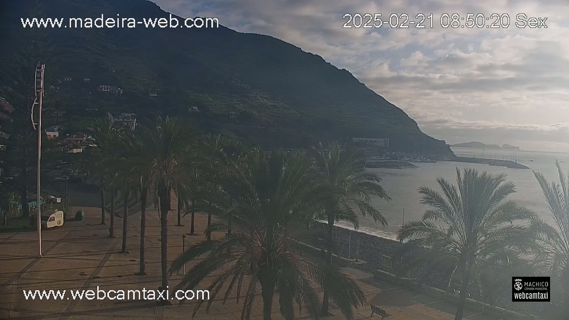 A coastal town with palm trees lining a paved area overlooks a calm sea under a partly cloudy sky.