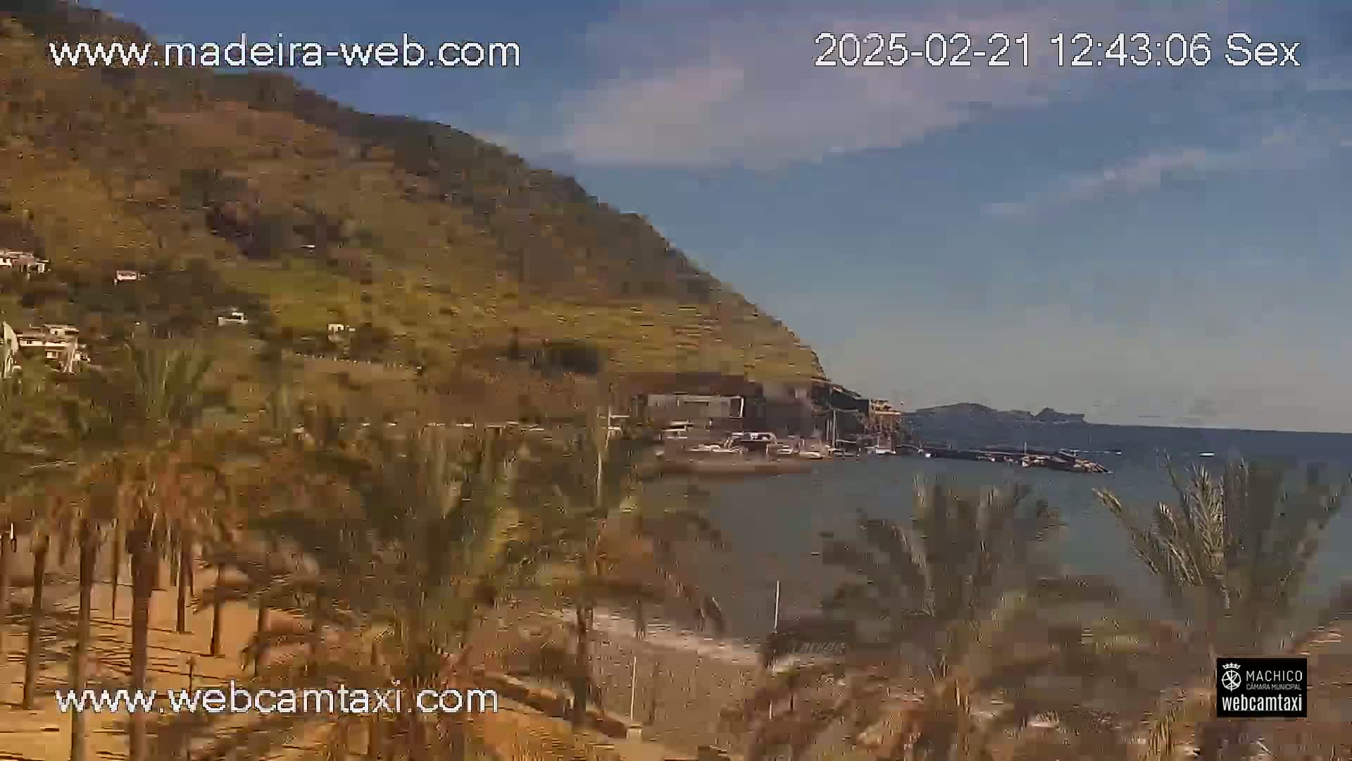 A mostly sunny day shows a beach, palm trees, a calm ocean, and a hillside with buildings in the distance.