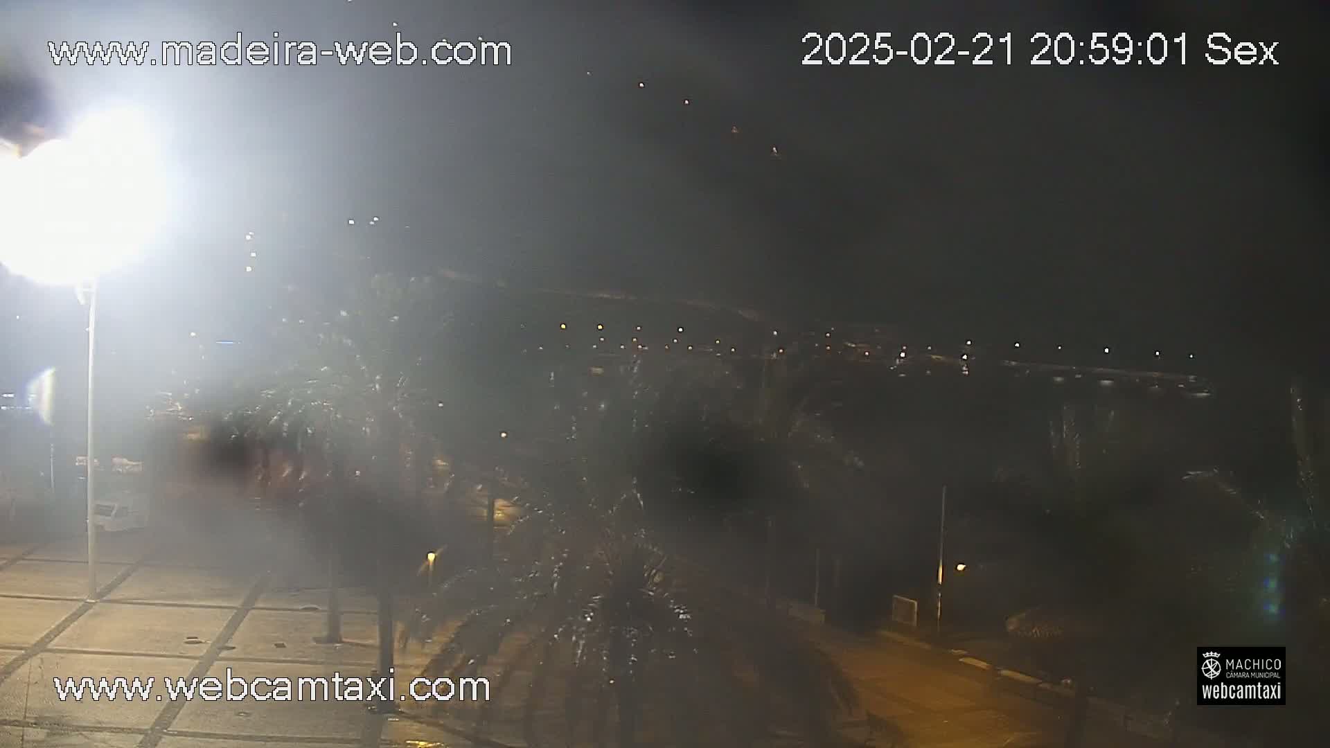 A hazy nighttime view of palm trees and a paved area, with distant lights visible across a body of water.