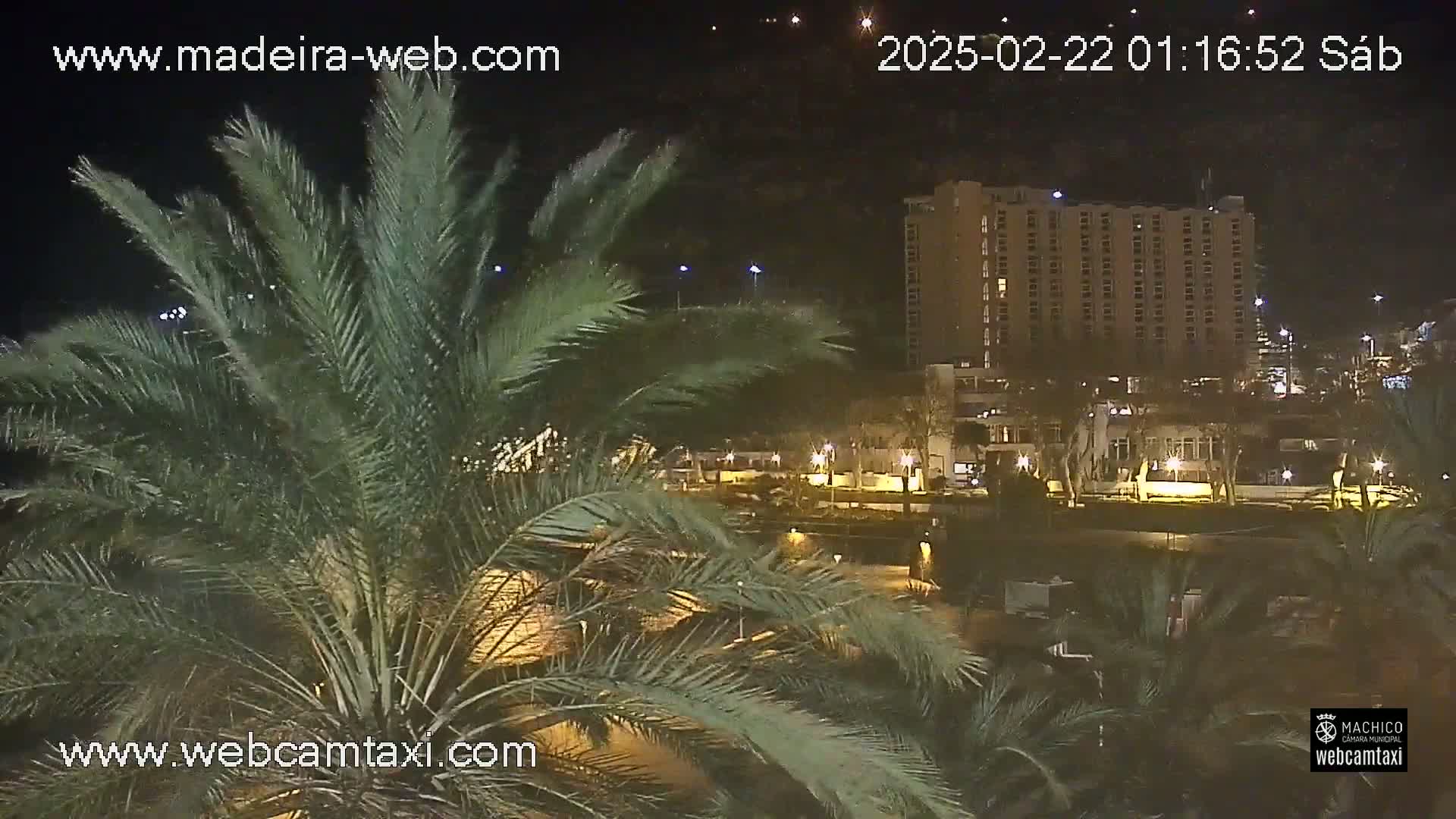 A nighttime view of palm trees in the foreground with a large, multi-story building illuminated in the background.