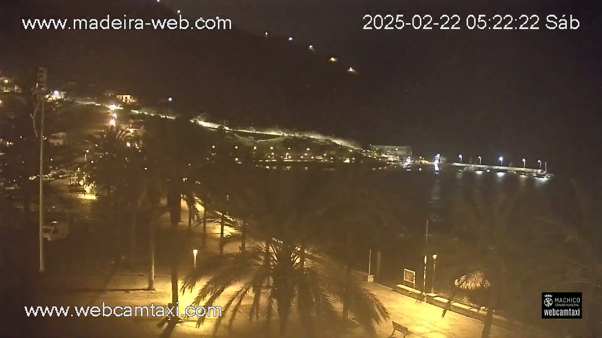 A nighttime coastal scene shows a palm tree-lined walkway next to a dark body of water with lights along a distant pier, under a clear sky.