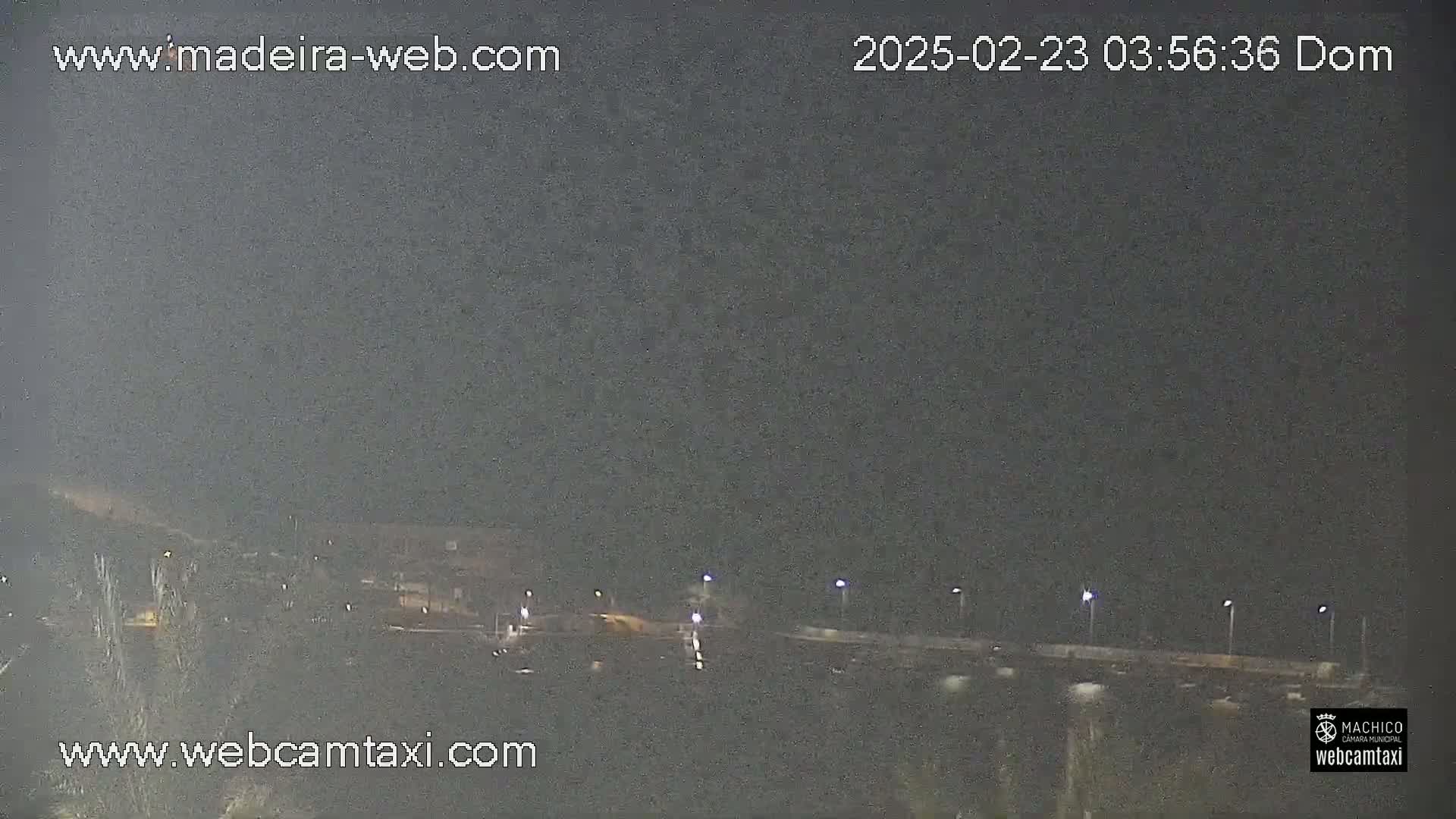 A nighttime, overcast view of a road with dimly lit streetlights and sparse vegetation.