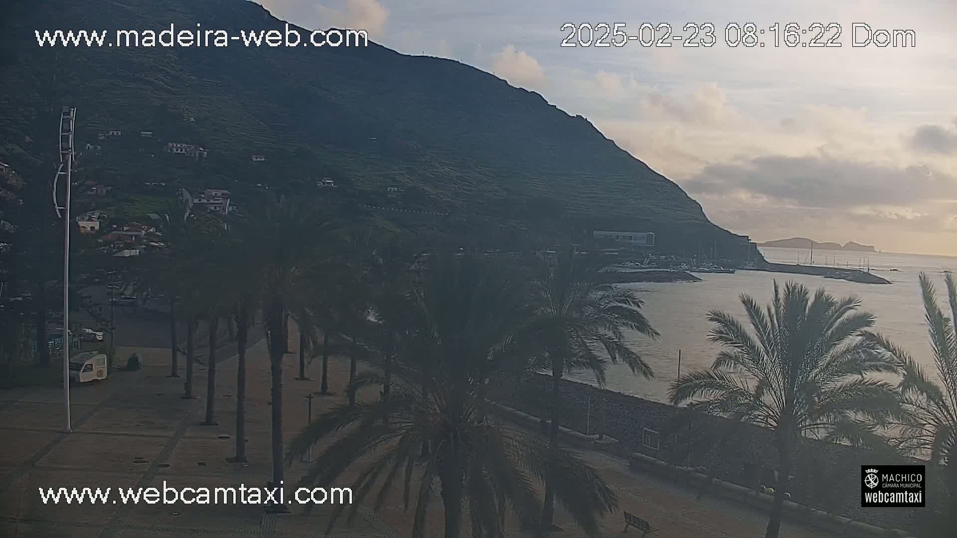 A coastal town nestled below a large hill, lined with palm trees along a paved walkway beside a calm ocean under a partly cloudy sky.