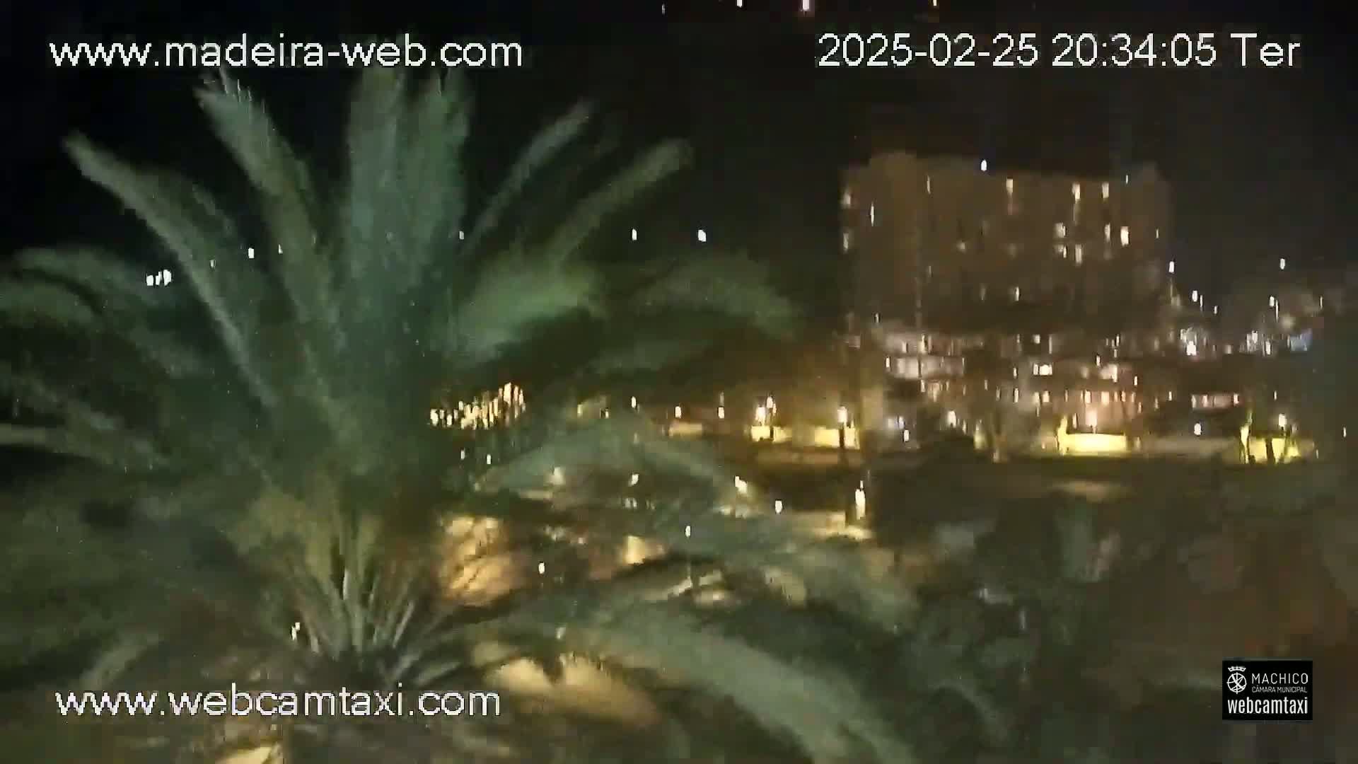 A nighttime view shows palm trees in the foreground with a large, illuminated building visible in the background.