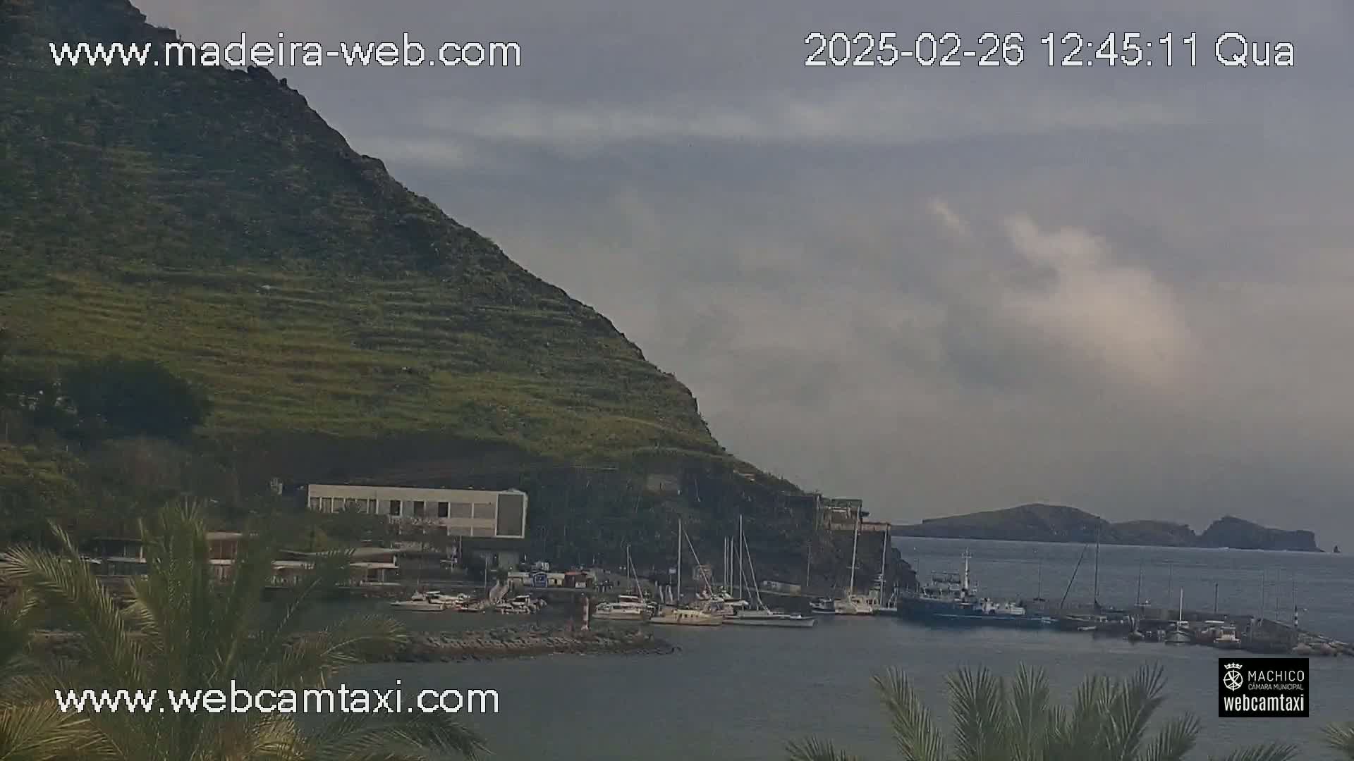 A harbor filled with boats sits at the base of a terraced green hill under an overcast sky.