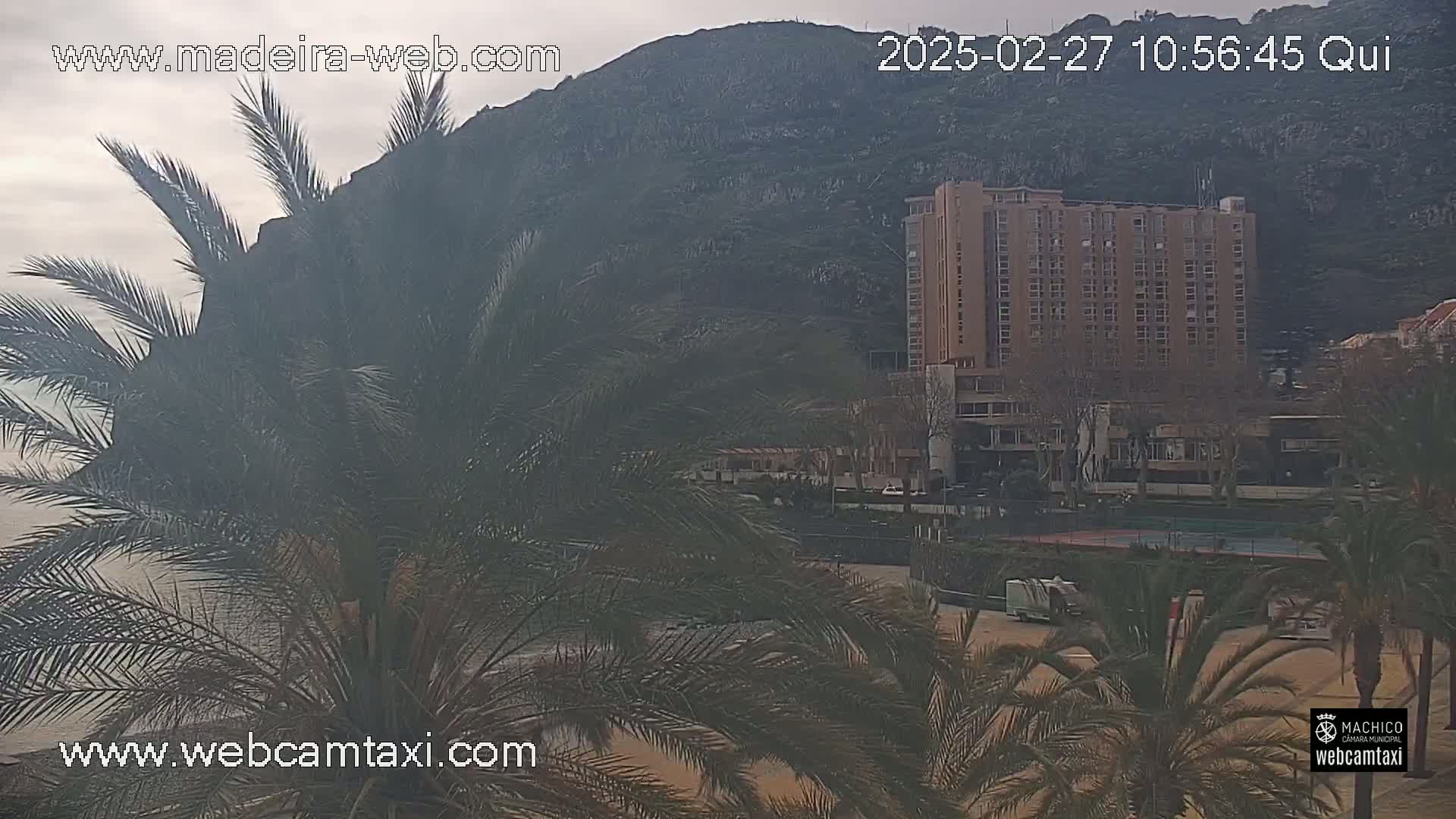 A multi-story building sits near a beach on an overcast day, partially obscured by palm trees in the foreground.