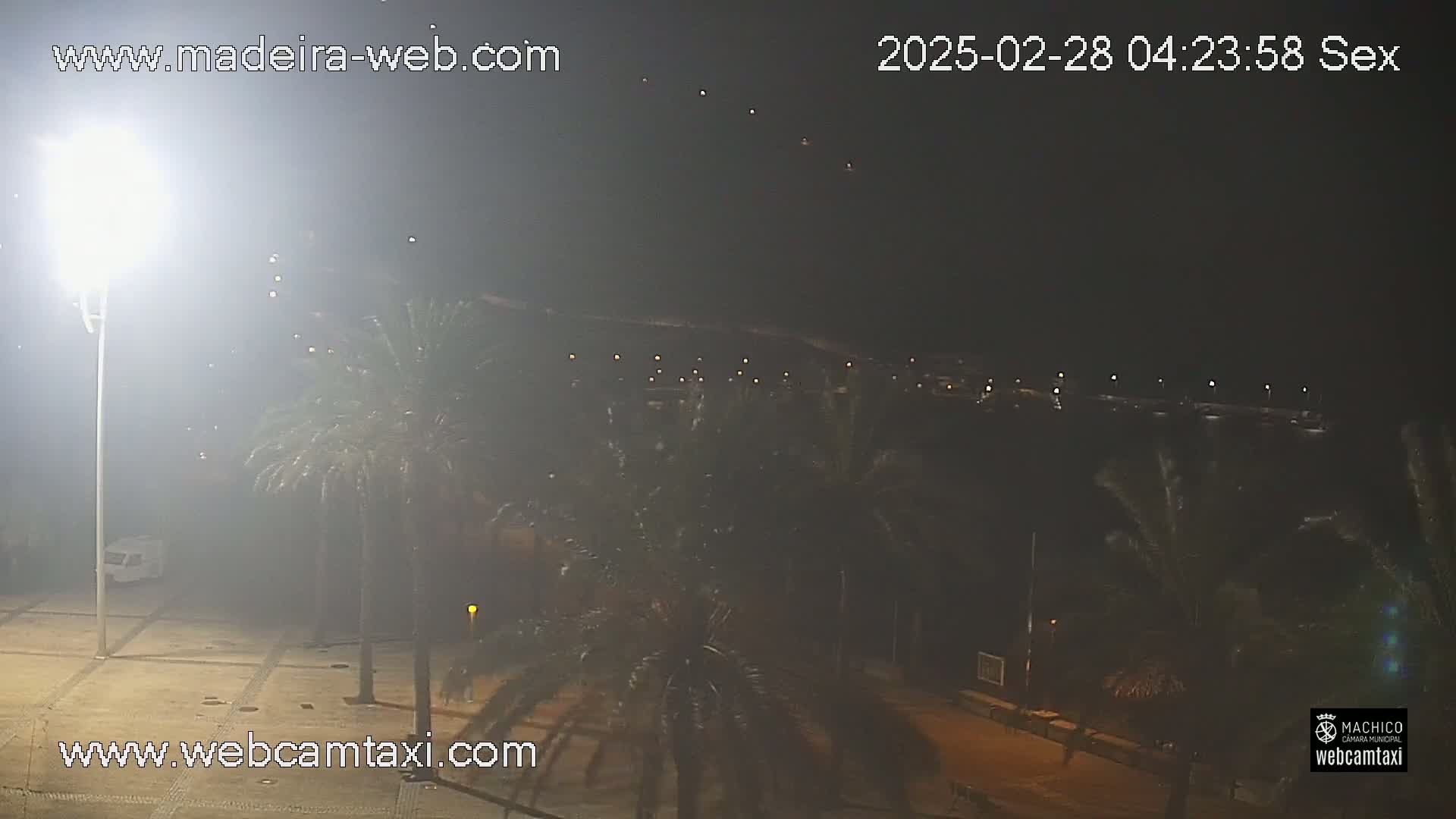 A hazy night scene shows palm trees and a paved area illuminated by bright lights, with a body of water visible in the distance.