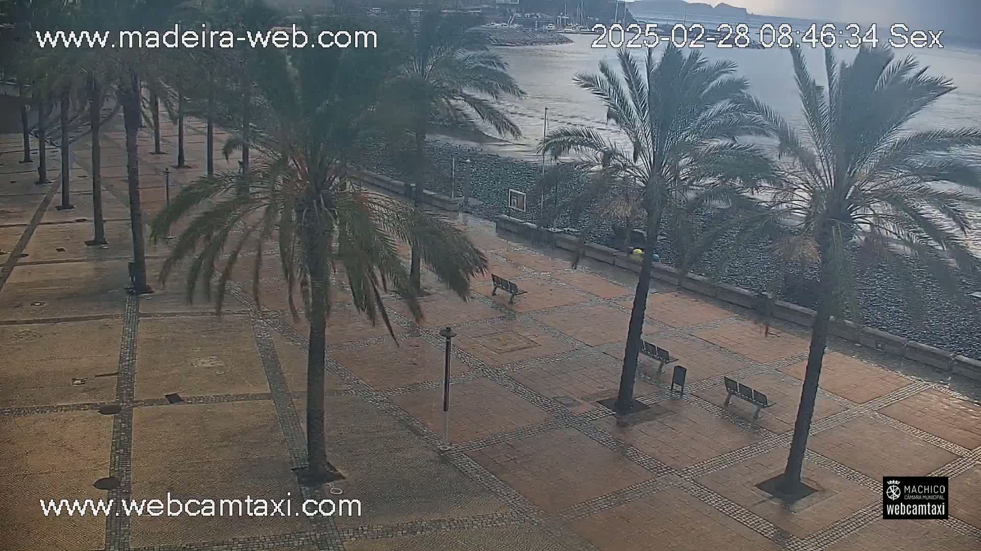 A wet paved plaza lined with palm trees overlooks a dark-colored, wavy ocean under an overcast sky.