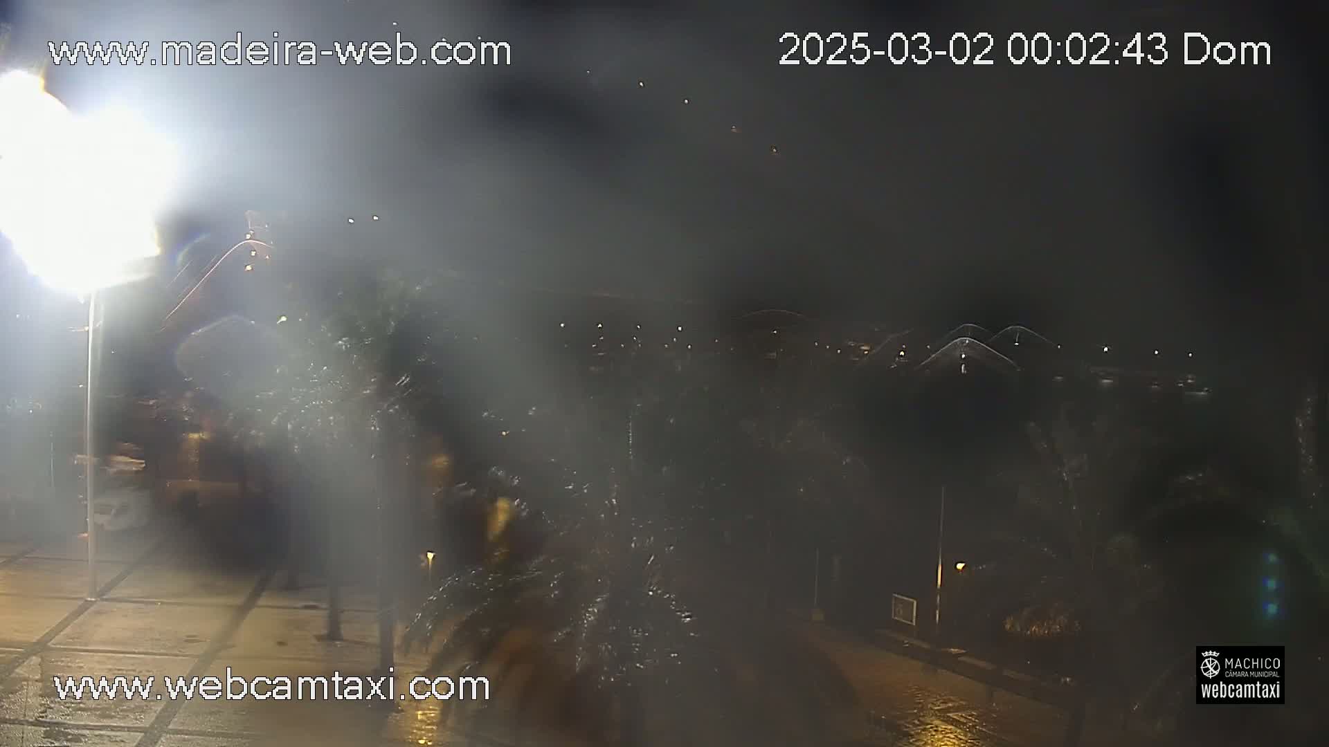 A nighttime, hazy scene shows wet pavement and indistinct shapes of vegetation, possibly palm trees, under dim lighting.