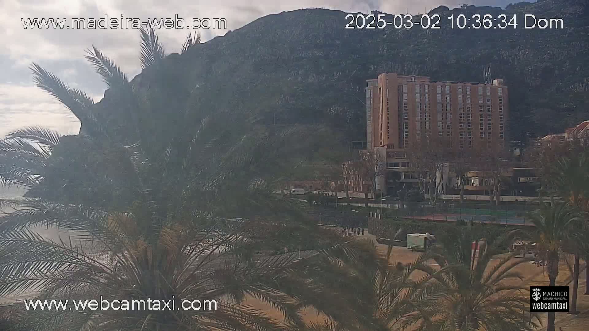 A large hotel is visible near a beach on a partly cloudy day, partially obscured by palm trees in the foreground.