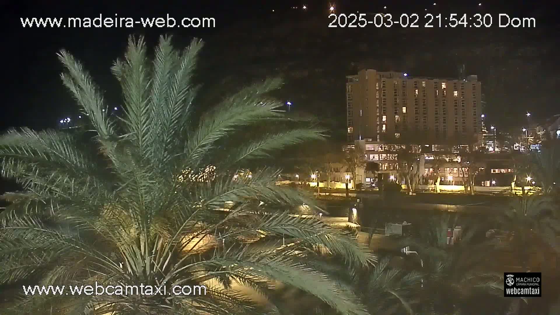 A nighttime view of a palm tree in the foreground obscuring a partially visible multi-story building and surrounding area, illuminated by artificial lights.