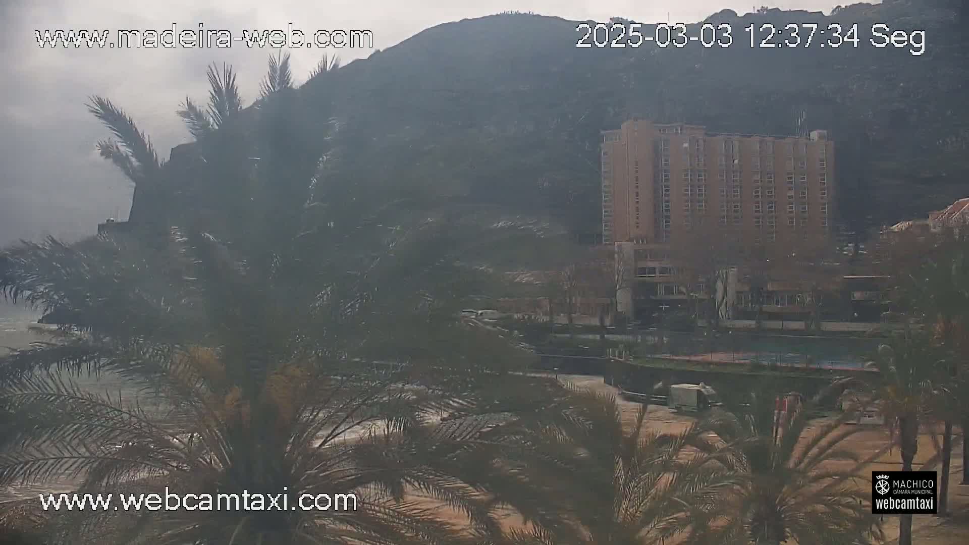 A hazy, overcast day reveals a coastal scene with palm trees in the foreground, a large hotel building, and a rocky hill in the background.