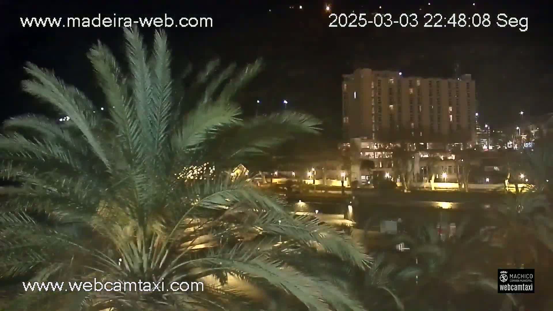A nighttime view of palm trees in the foreground, with a large, brightly lit hotel and other buildings visible in the background under a clear night sky.