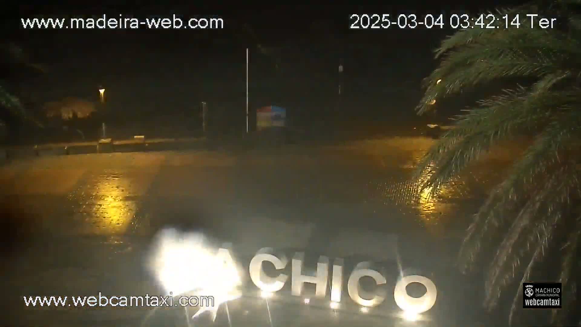 A nighttime, rain-soaked scene shows the illuminated letters "CHICO" on the ground, with palm trees and streetlights visible in the background.