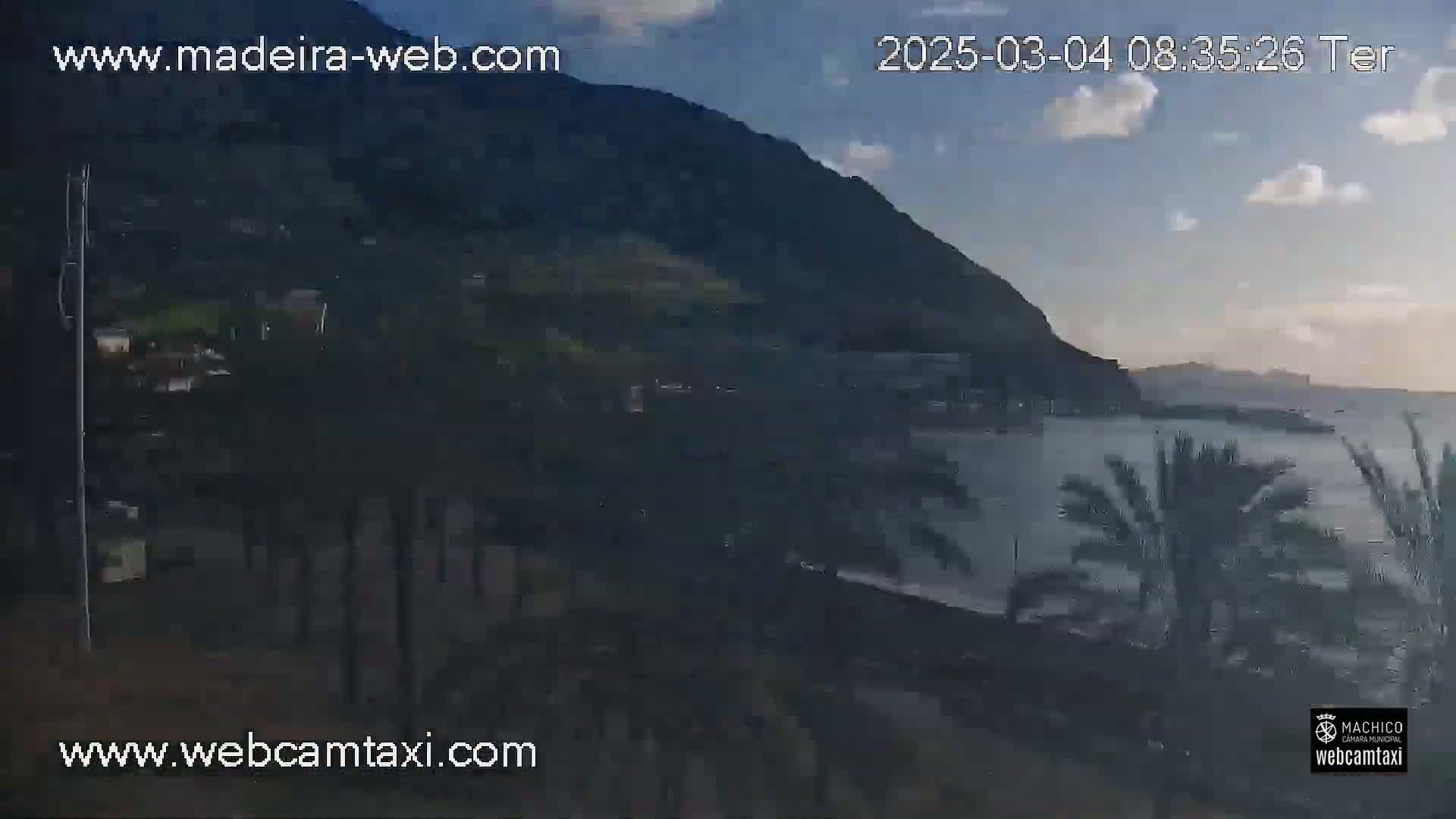 A partly cloudy morning reveals a coastal scene with palm trees lining a shoreline below a dark mountain, and calm ocean waters.