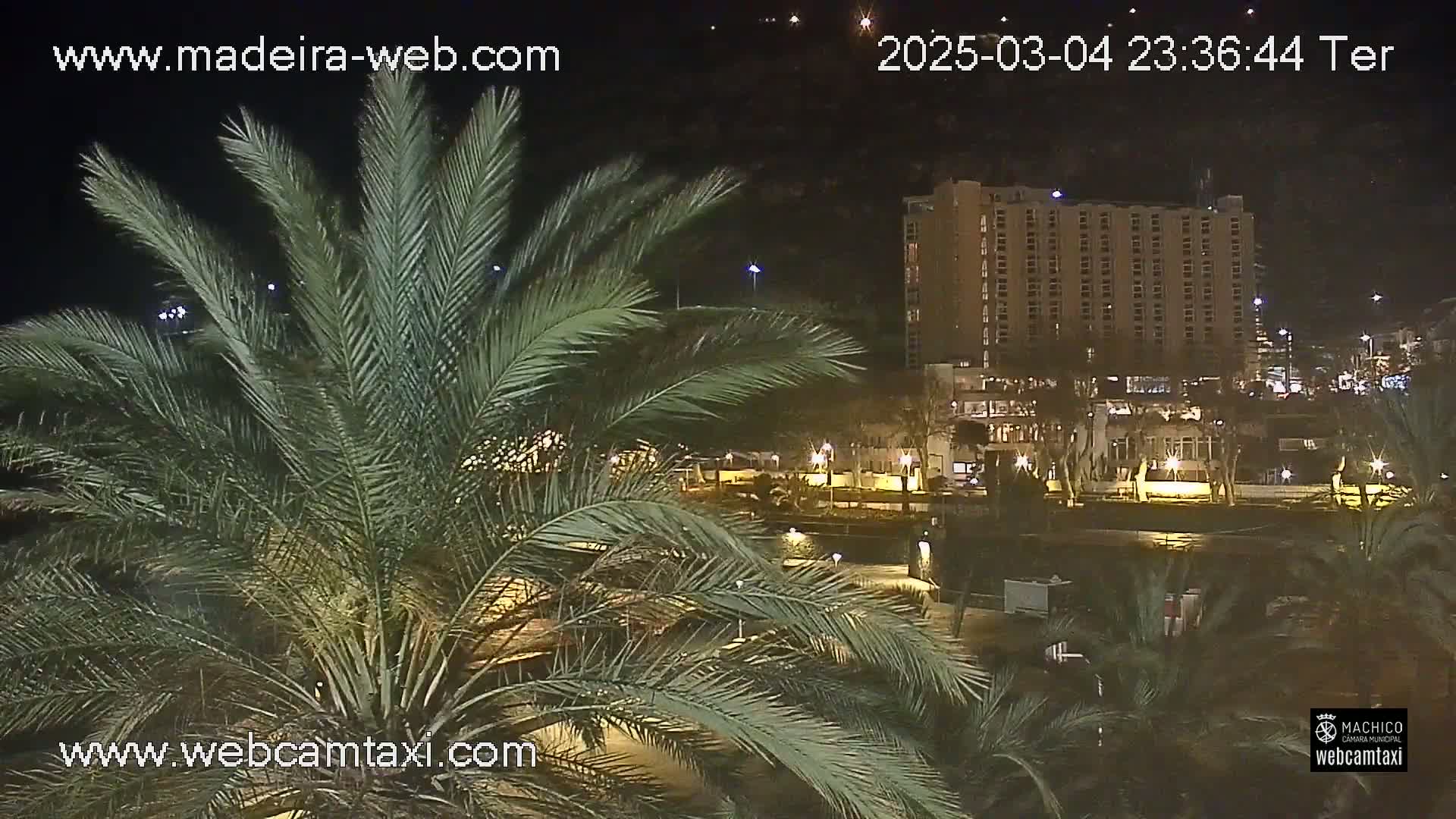 A nighttime view of a large hotel building behind palm trees under a clear, dark sky.