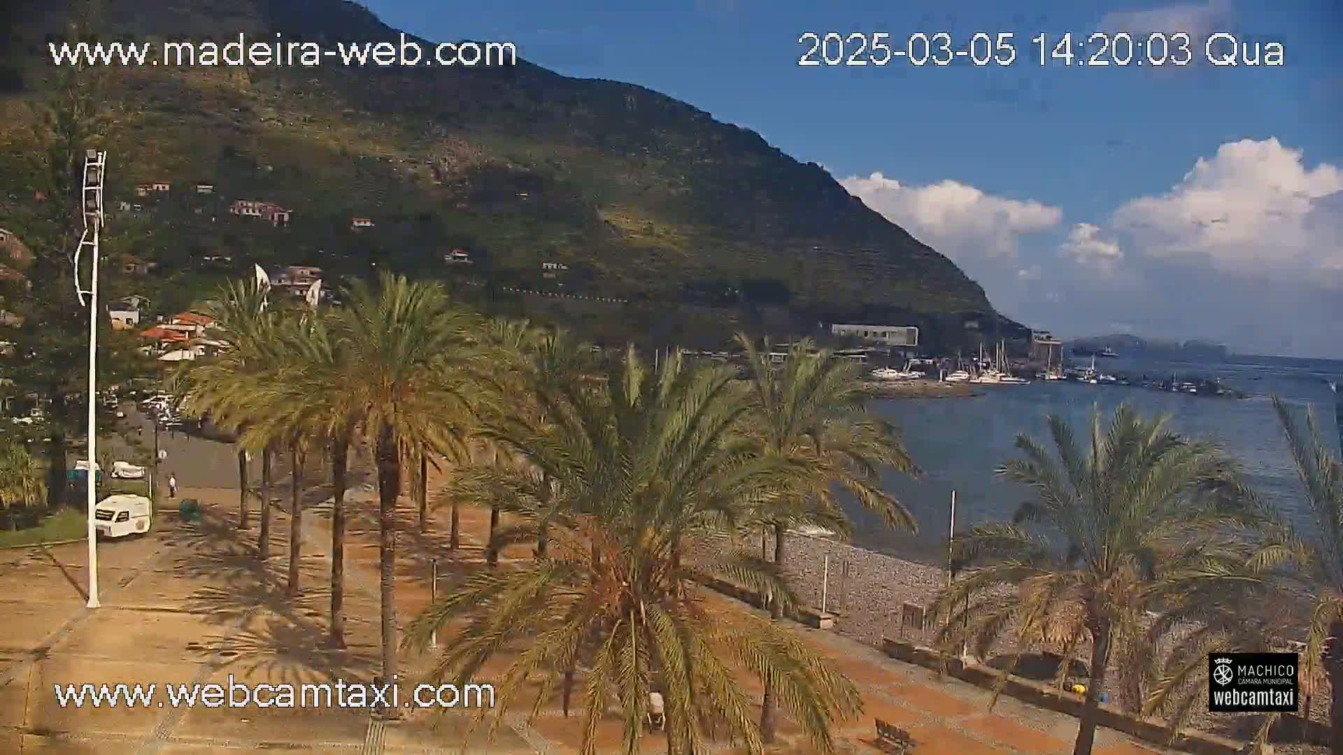 A partly sunny day overlooking a pebble beach lined with palm trees, a small harbor with boats, and a large hill in the background.