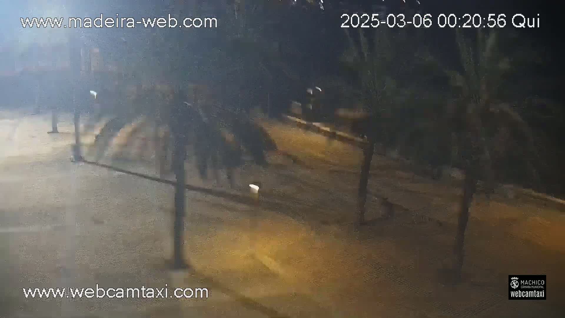 A nighttime, dimly lit outdoor scene shows a paved area with palm trees and lampposts, appearing slightly windy.