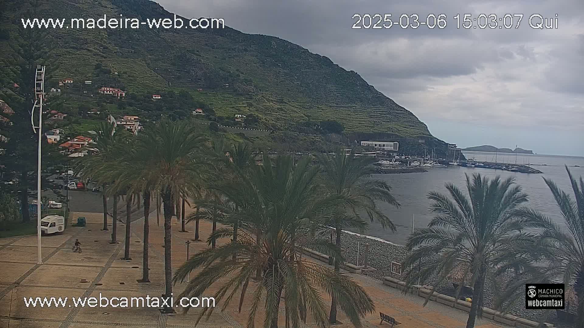 A seaside town with palm trees lining a paved walkway overlooks a calm bay with moored boats under an overcast sky.